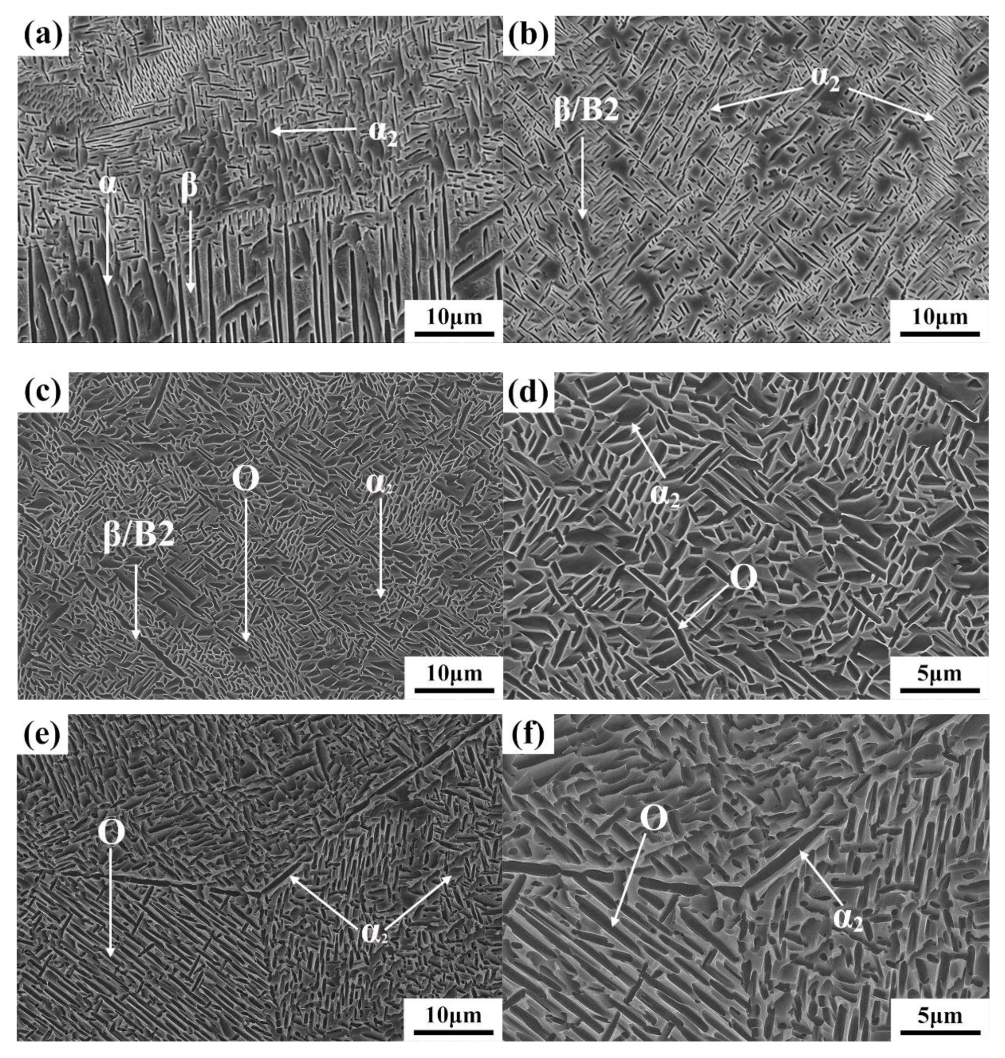 Materials 13 00552 g010 Materials 13 00552 g010