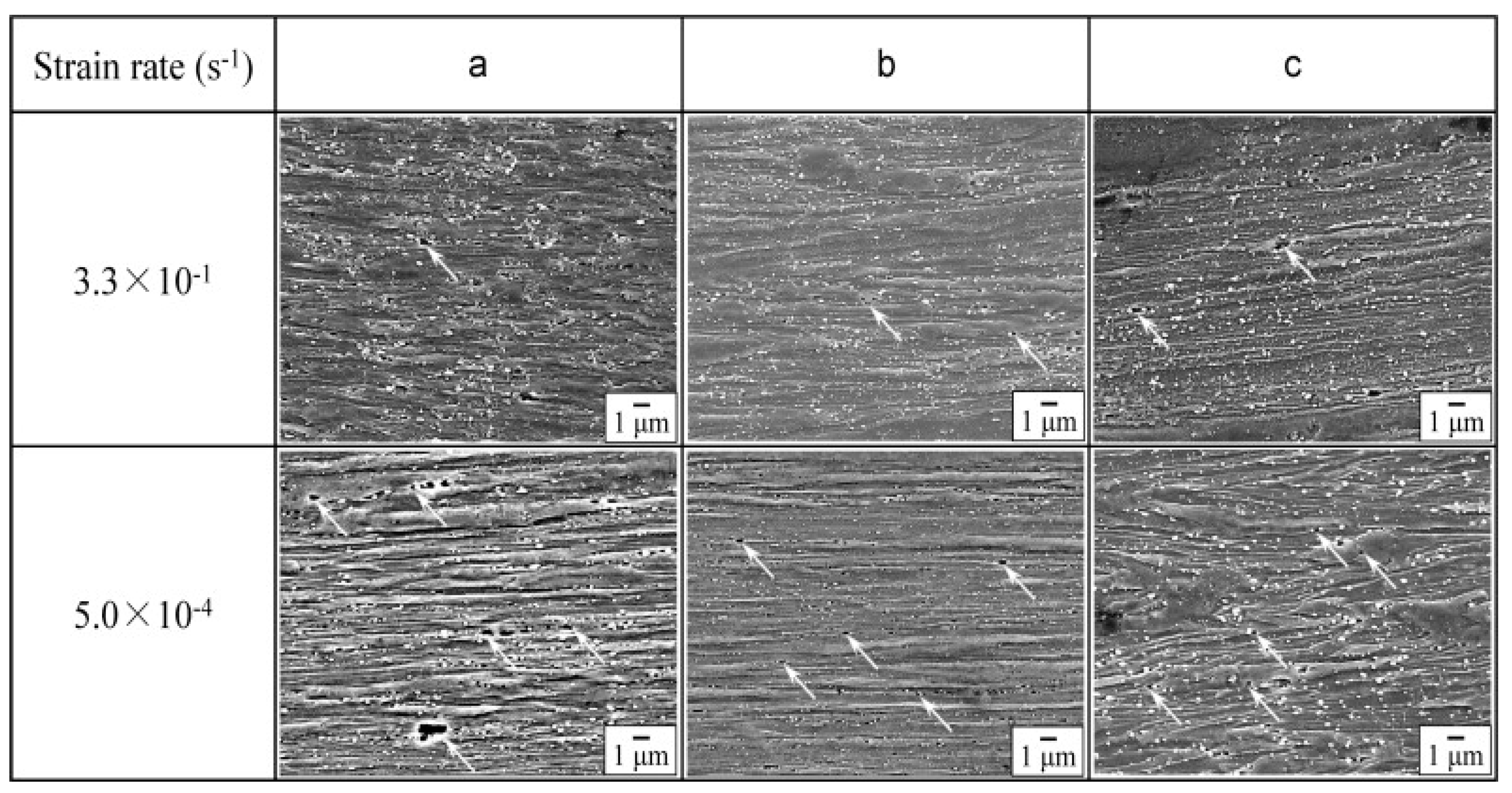 Materials 13 00556 g006 Materials 13 00556 g006