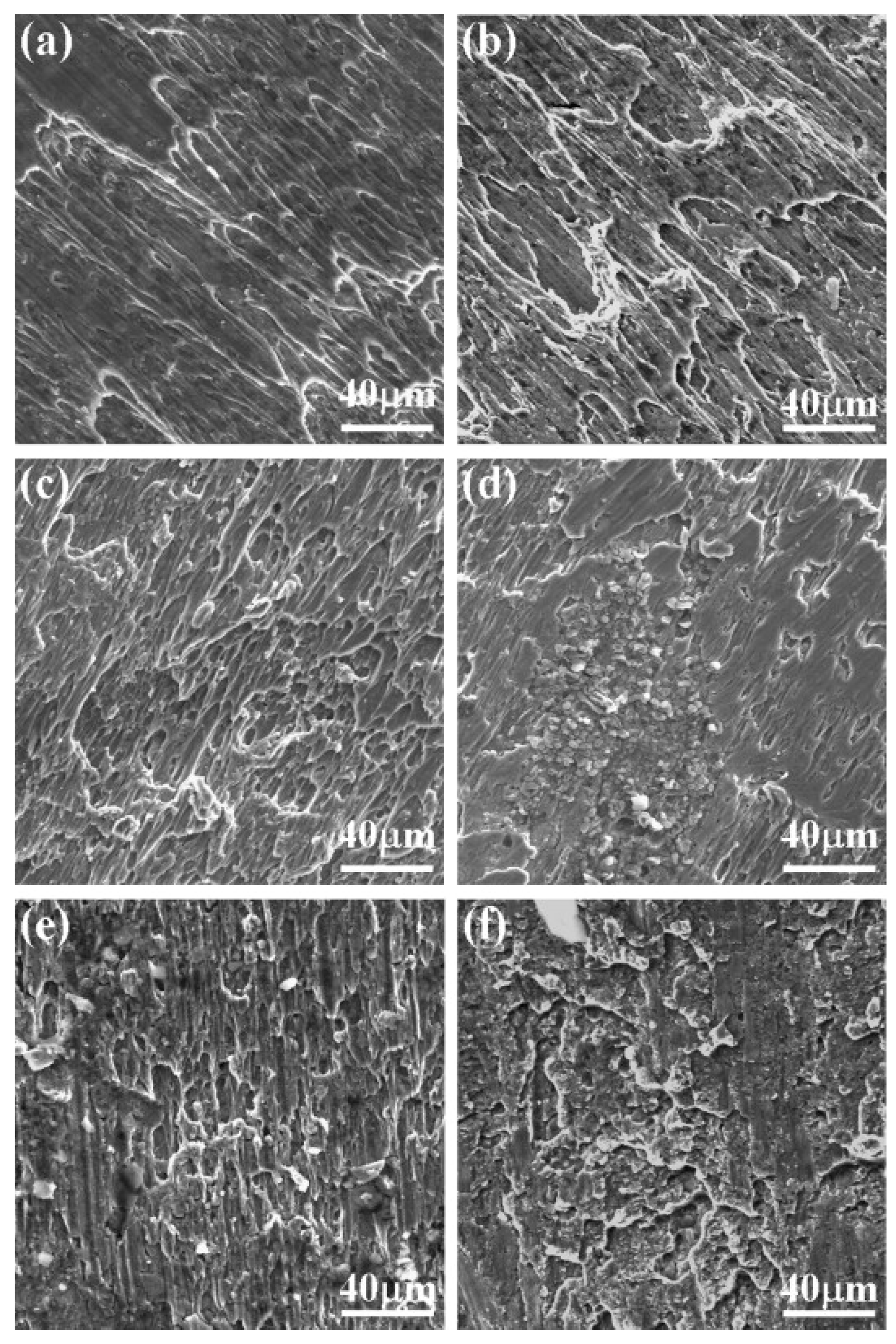 Materials 13 00556 g024 Materials 13 00556 g024