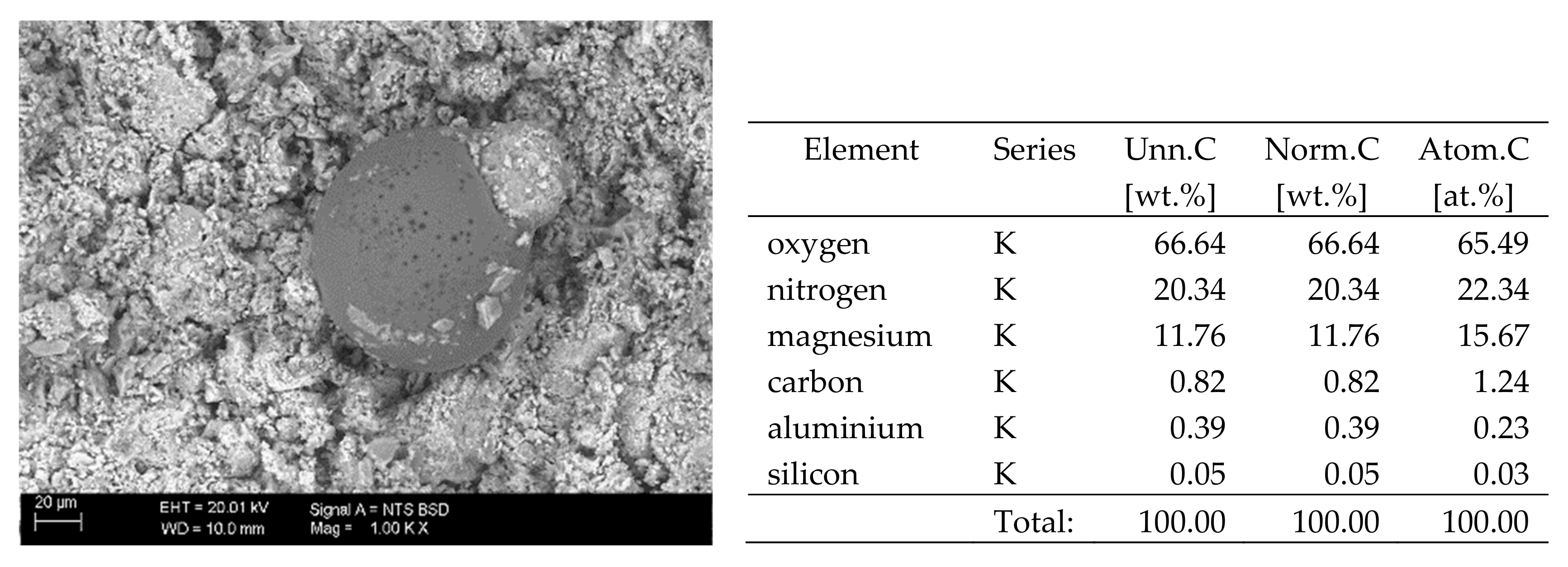 Materials 13 00559 g010