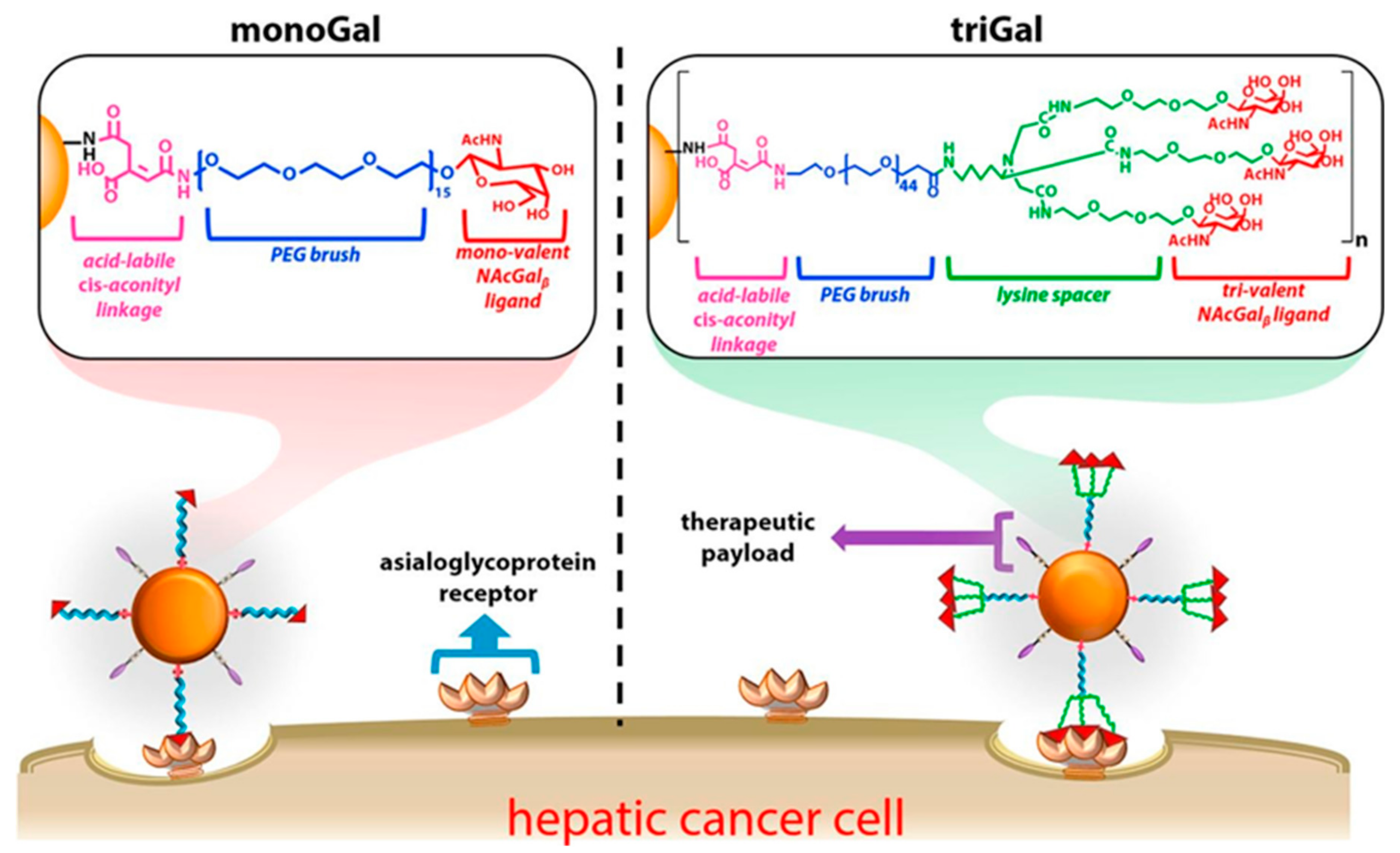 Materials 13 00570 sch006 Materials 13 00570 sch006