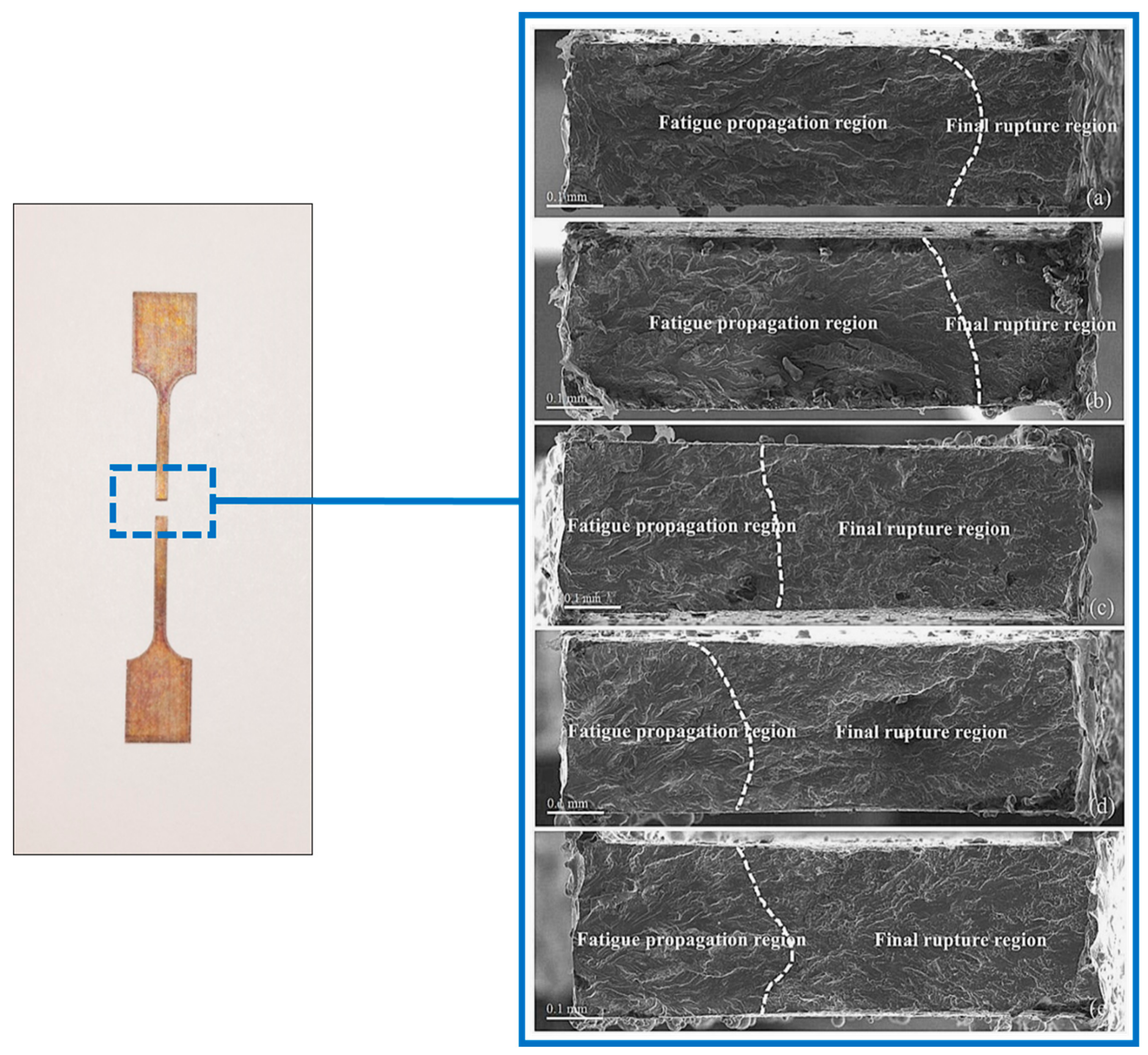 Materials 13 00573 g011 Materials 13 00573 g011