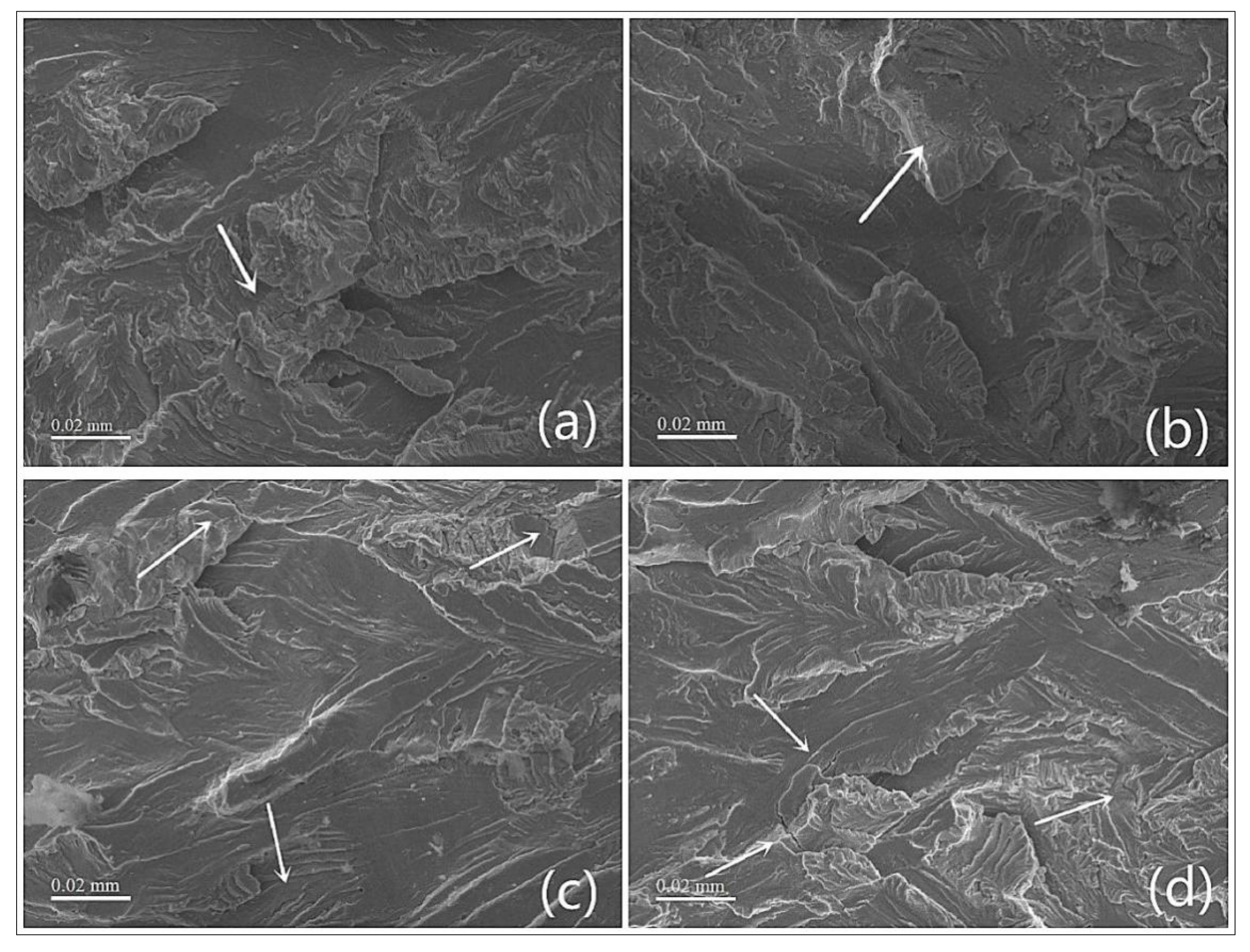 Materials 13 00573 g012 Materials 13 00573 g012