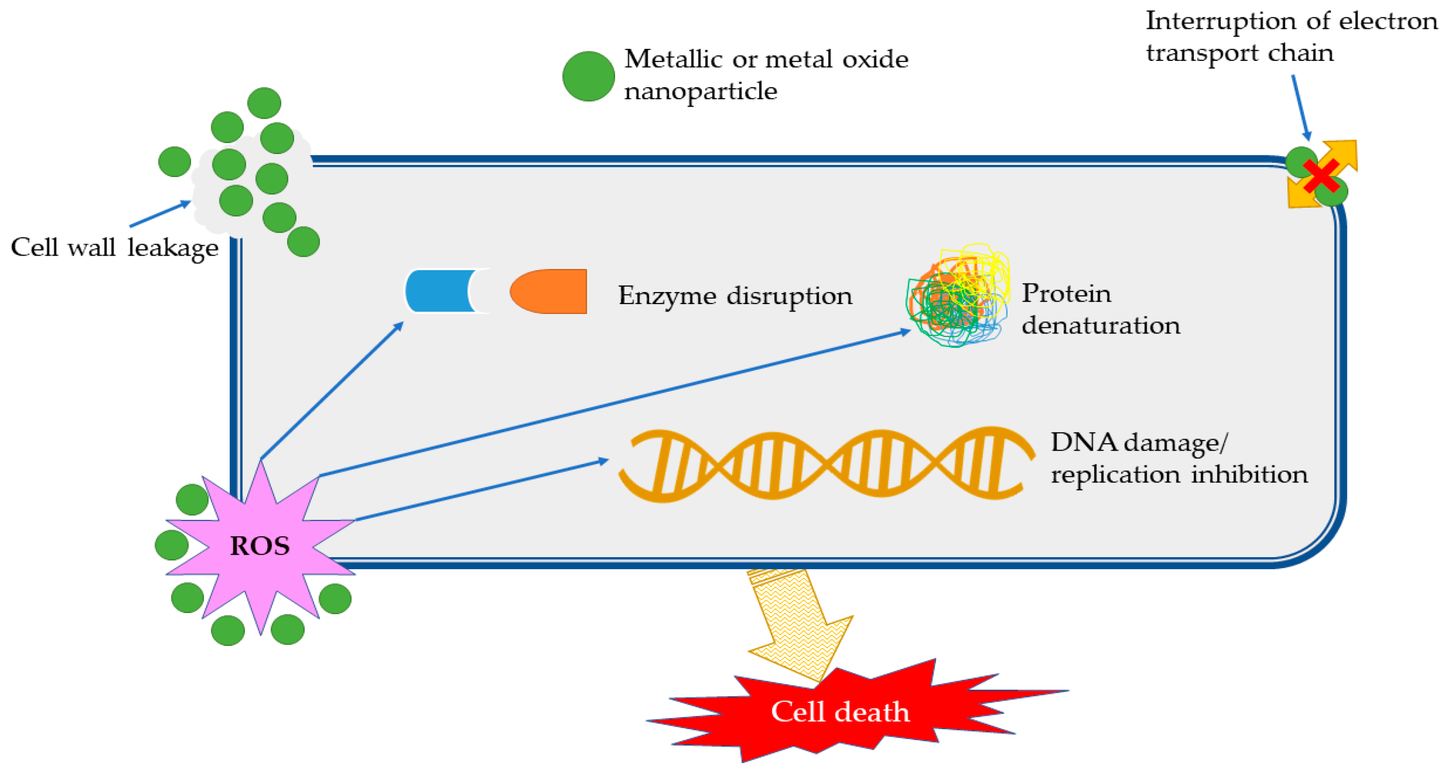 Materials 13 00574 g002 Materials 13 00574 g002