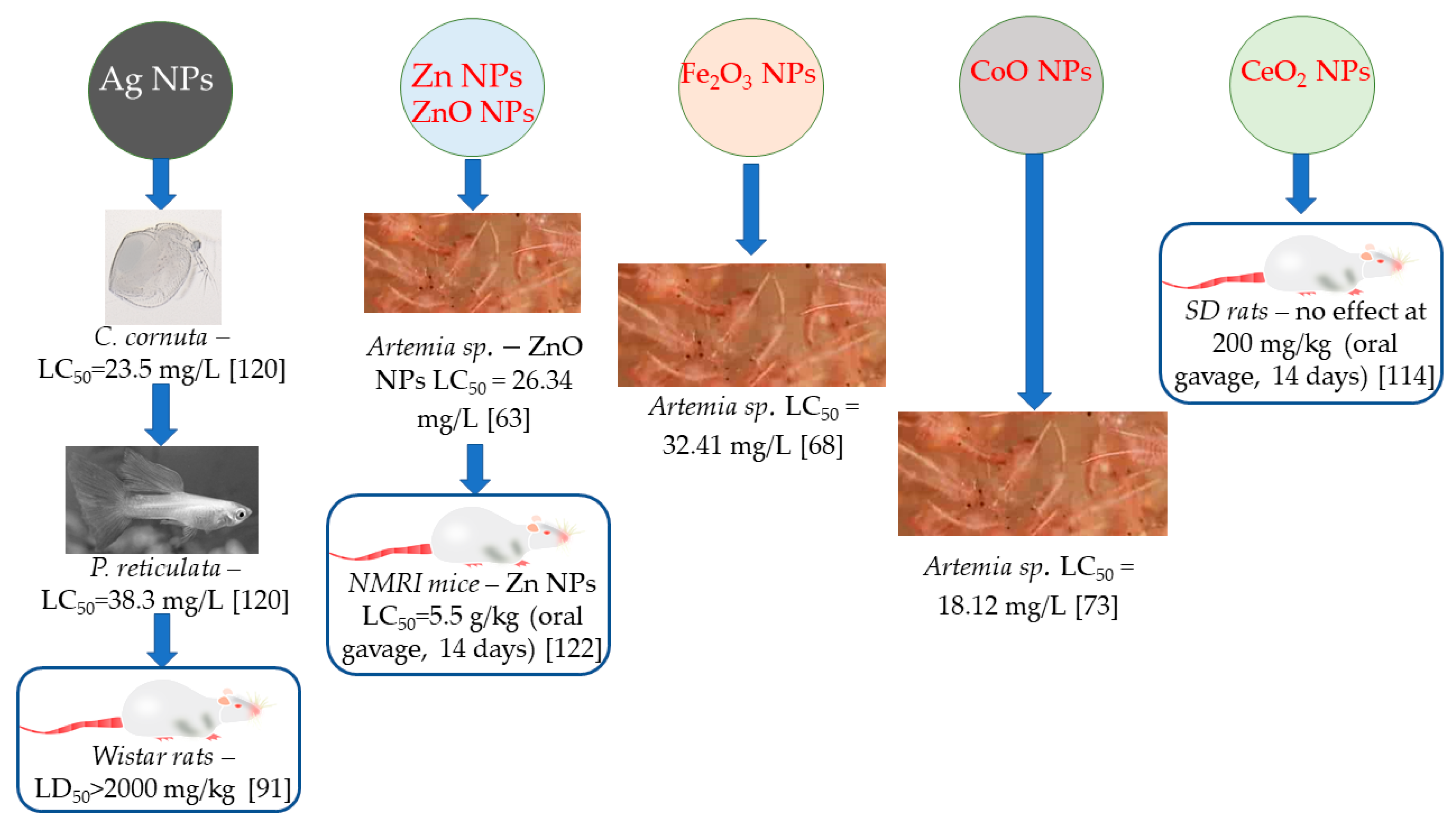 Materials 13 00574 g005 Materials 13 00574 g005