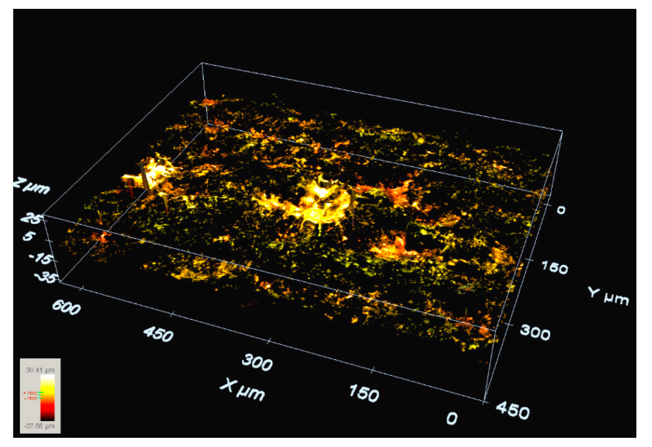 Materials 13 00577 g004
