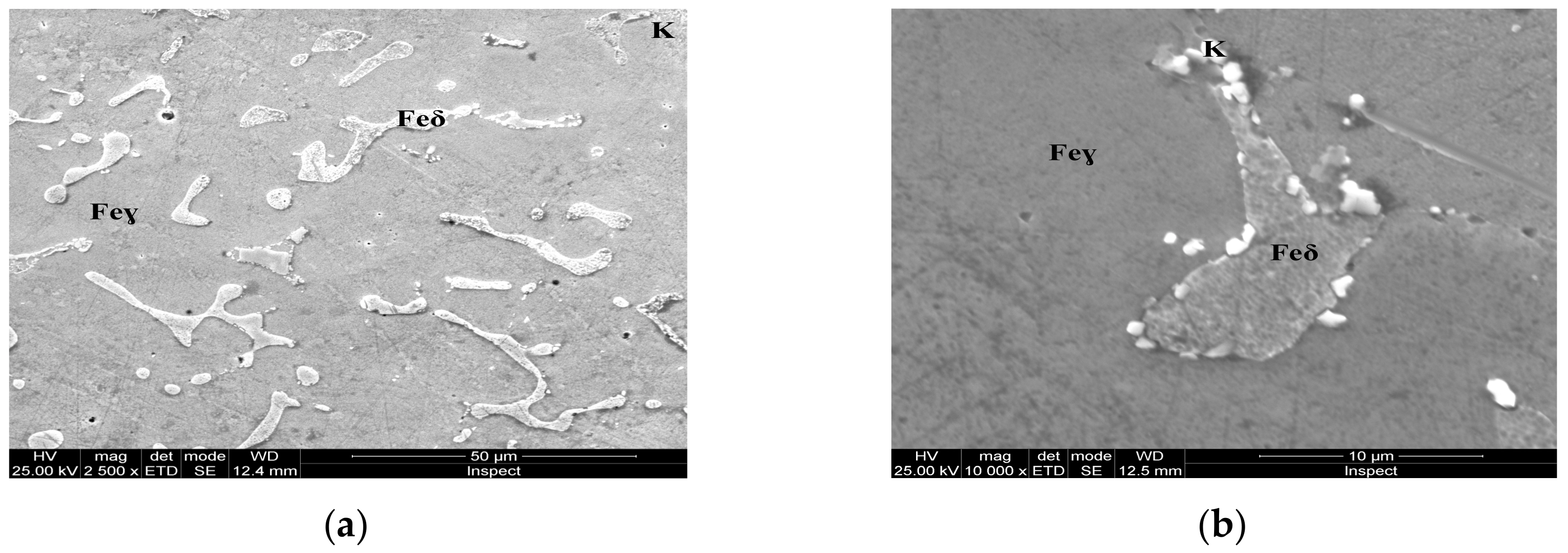 Materials 13 00581 g006