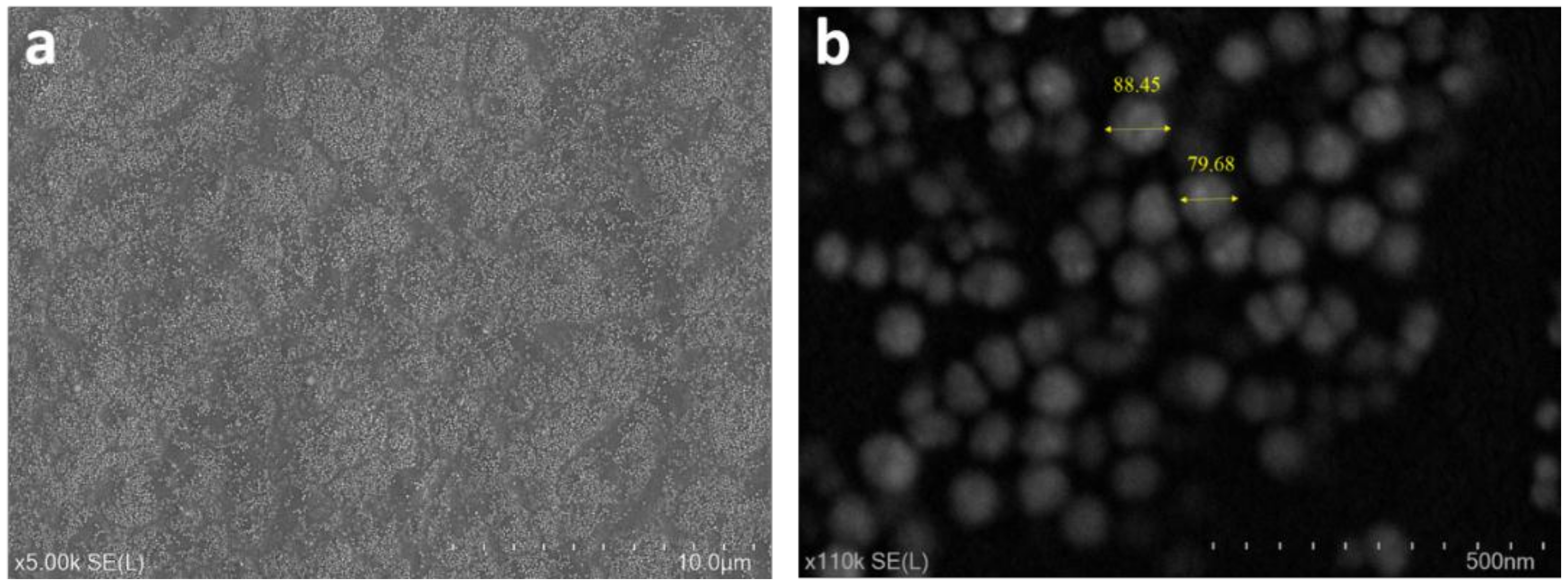 Materials 13 00586 g006 Materials 13 00586 g006