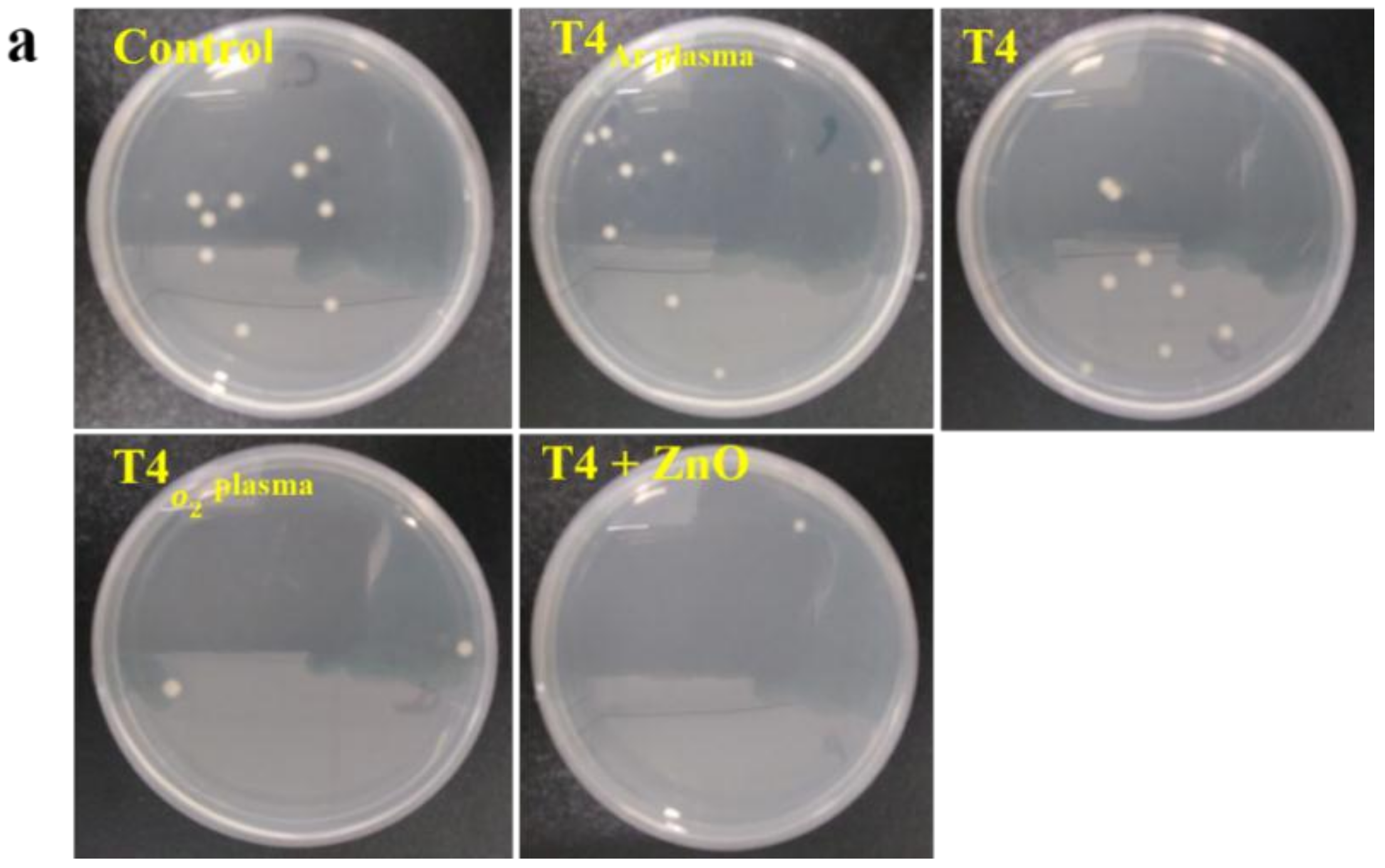 Materials 13 00586 g009a Materials 13 00586 g009a