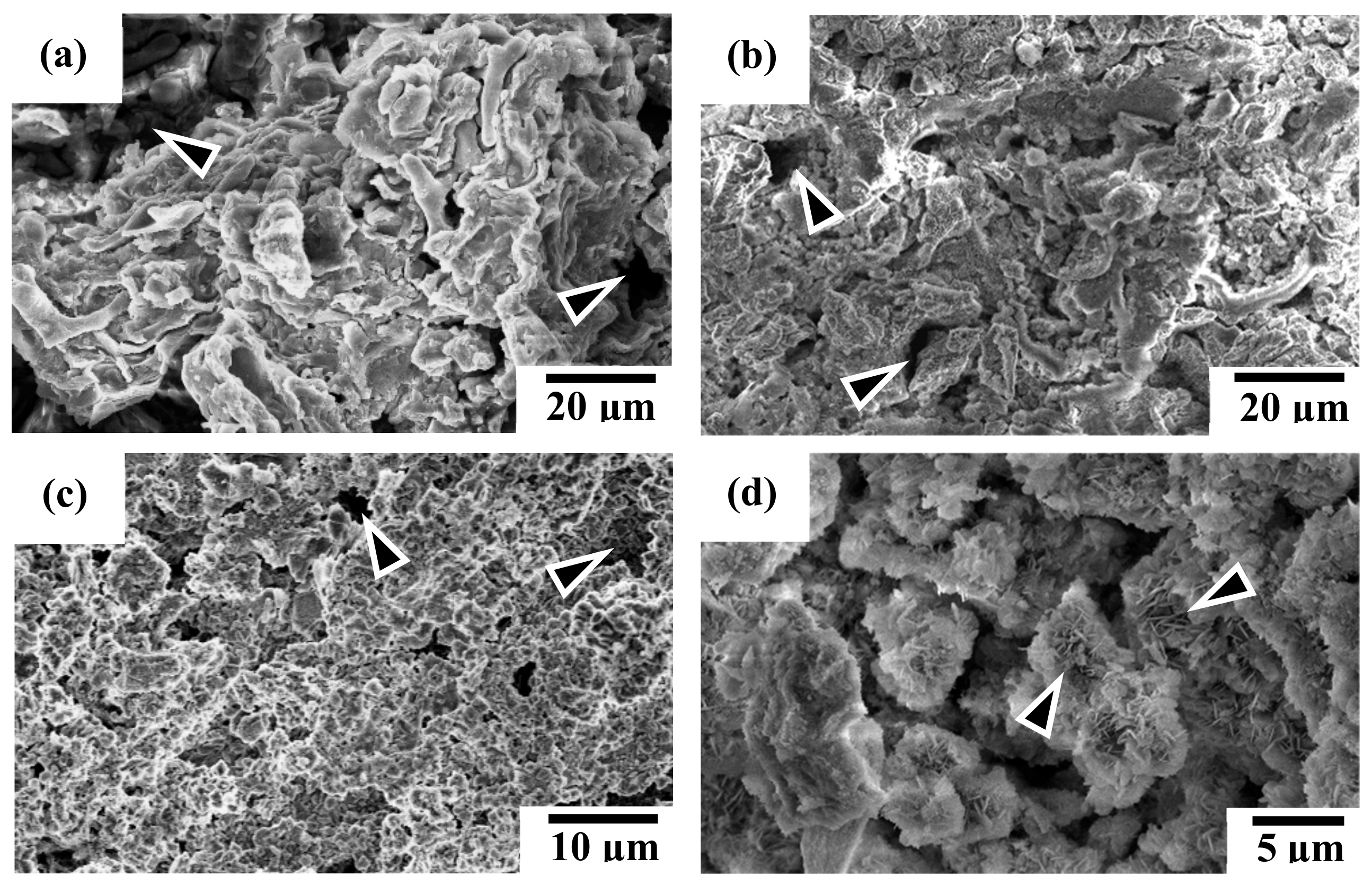 Materials 13 00591 g008