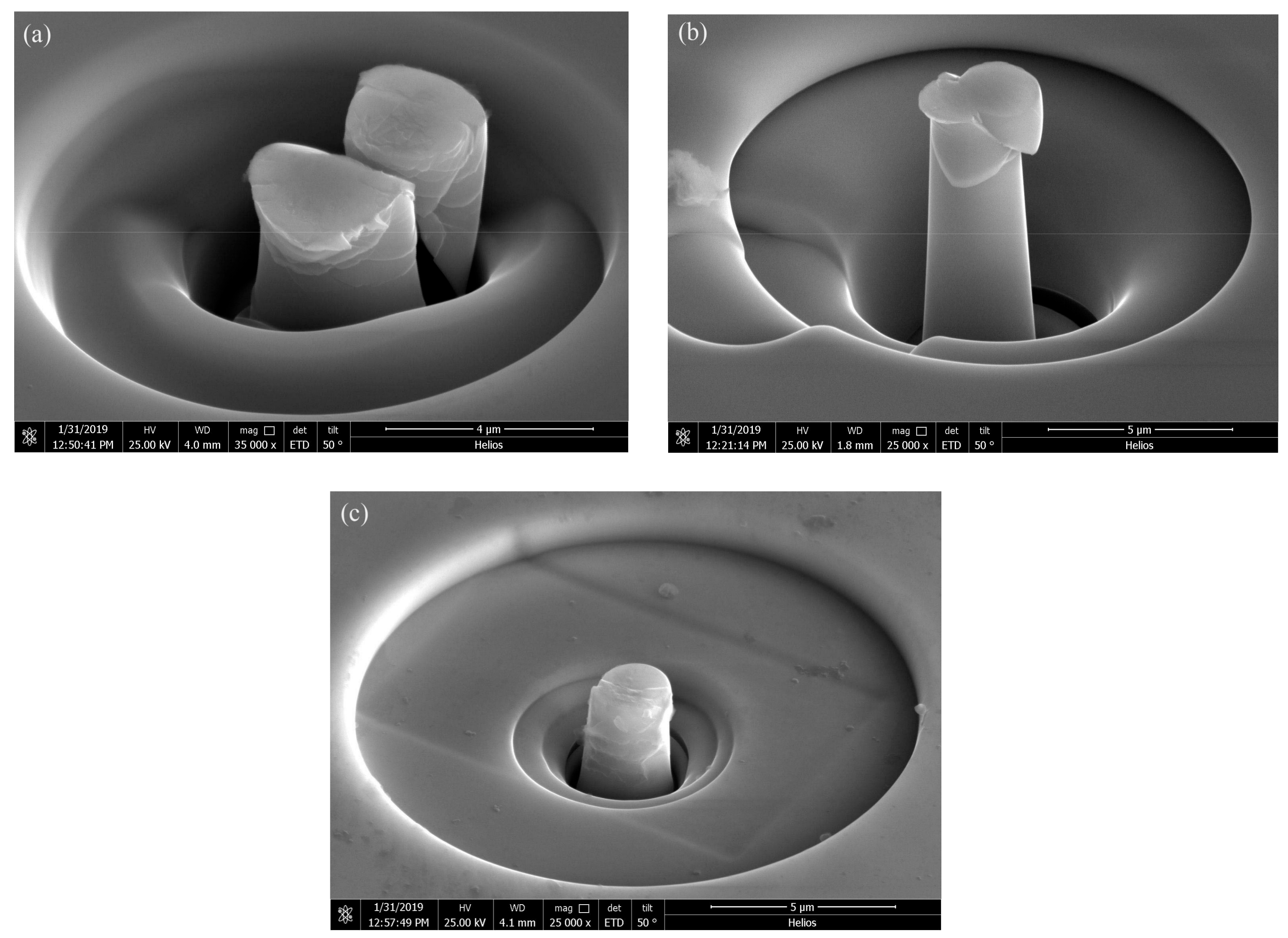 Materials 13 00597 g011 Materials 13 00597 g011