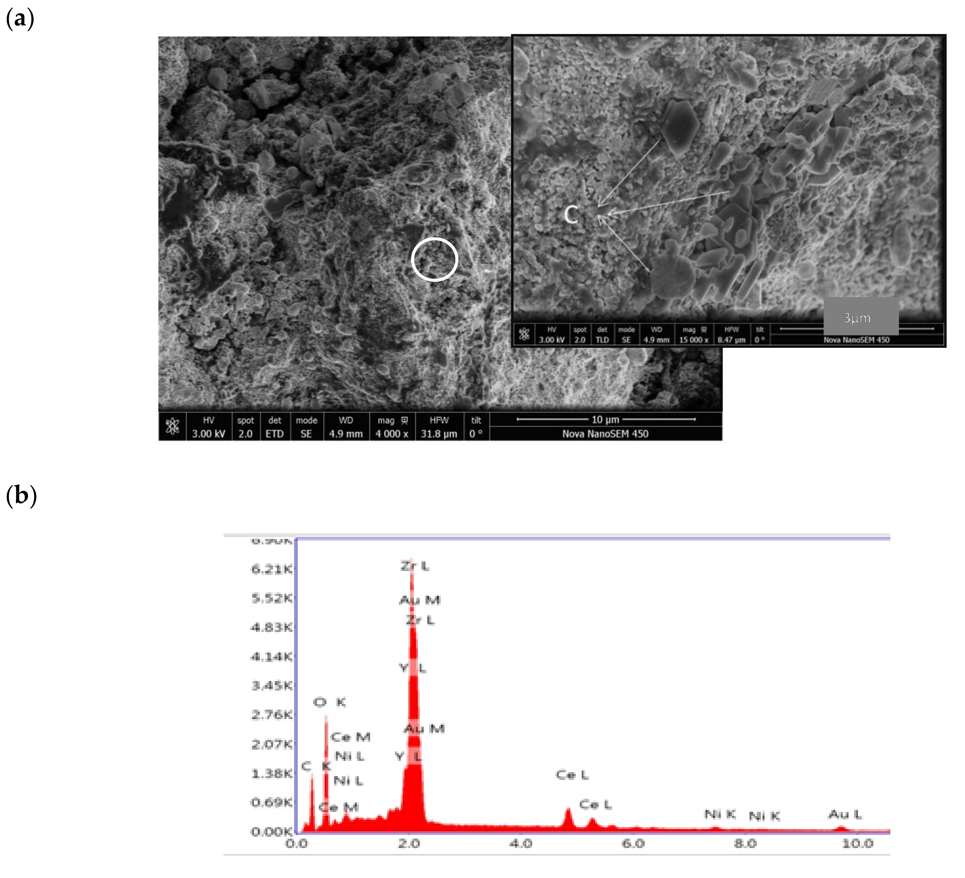 Materials 13 00599 g008 Materials 13 00599 g008