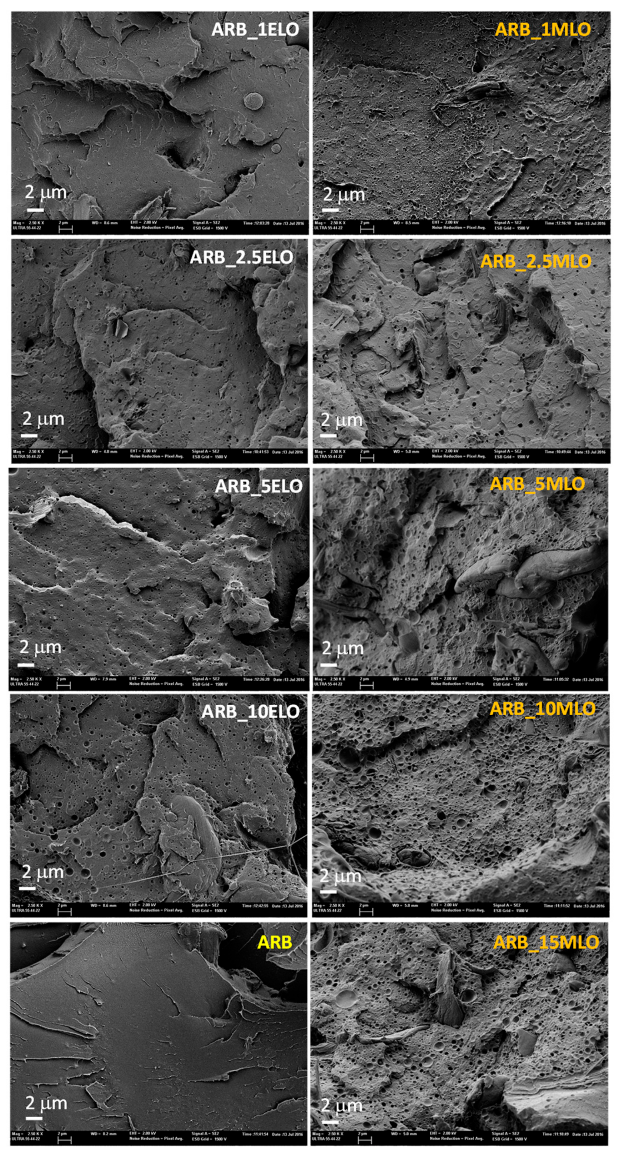 Materials 13 00600 g007 Materials 13 00600 g007