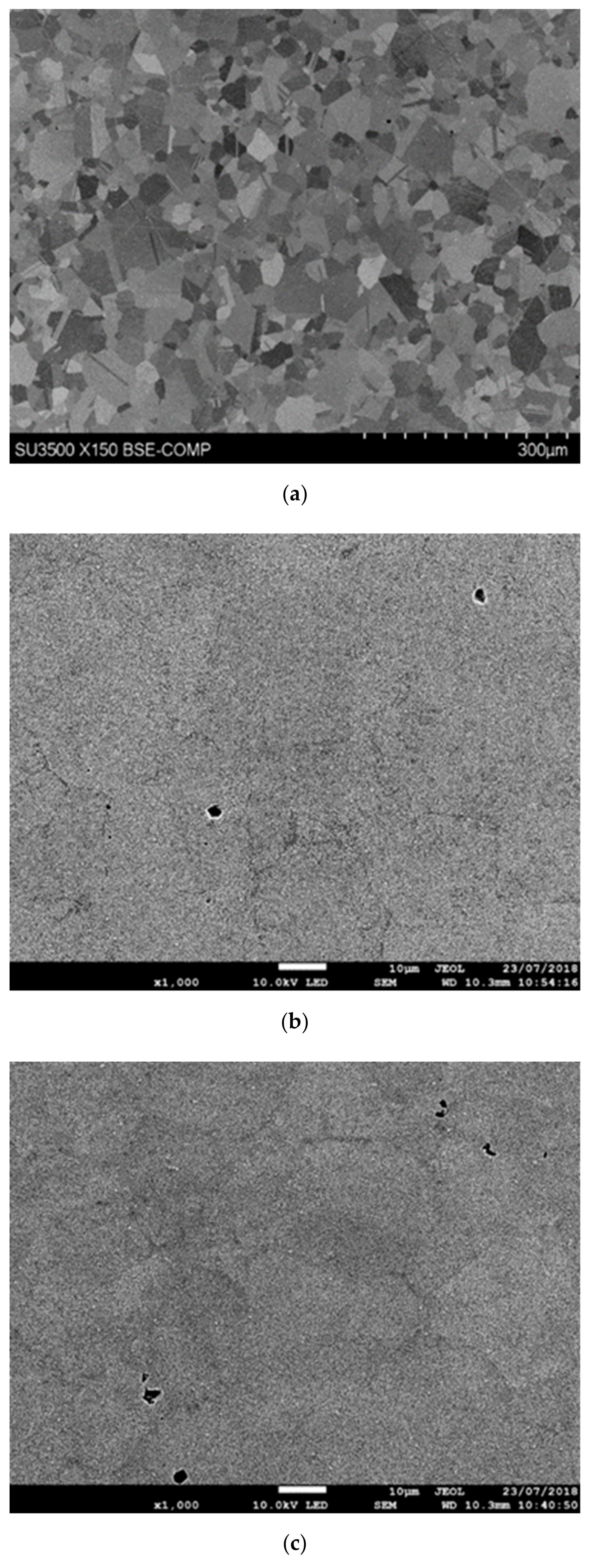 Materials 13 00601 g003