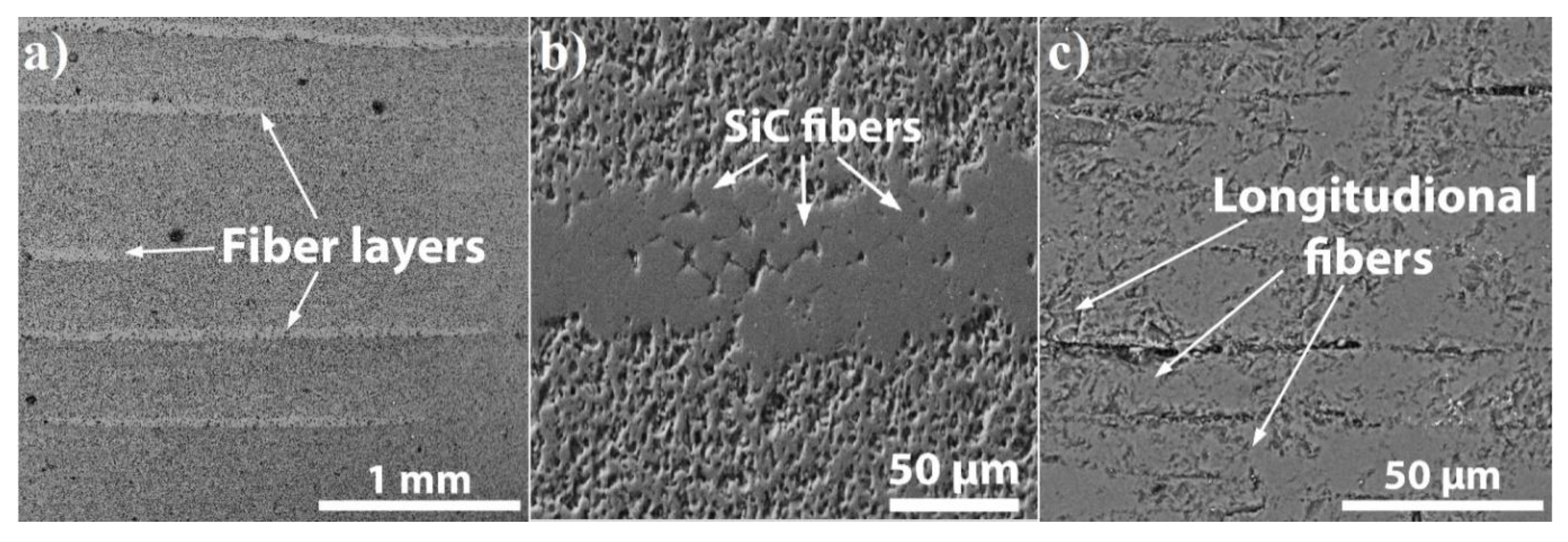 Materials 13 00607 g007