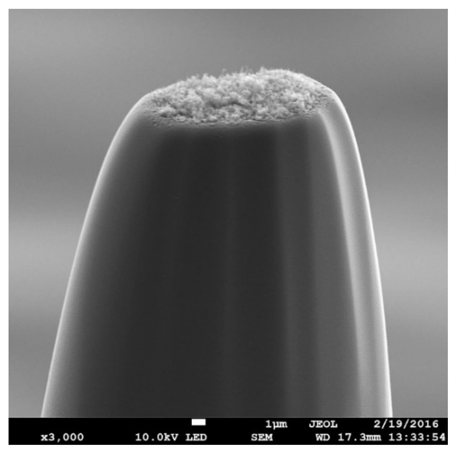 Materials 13 00610 g001