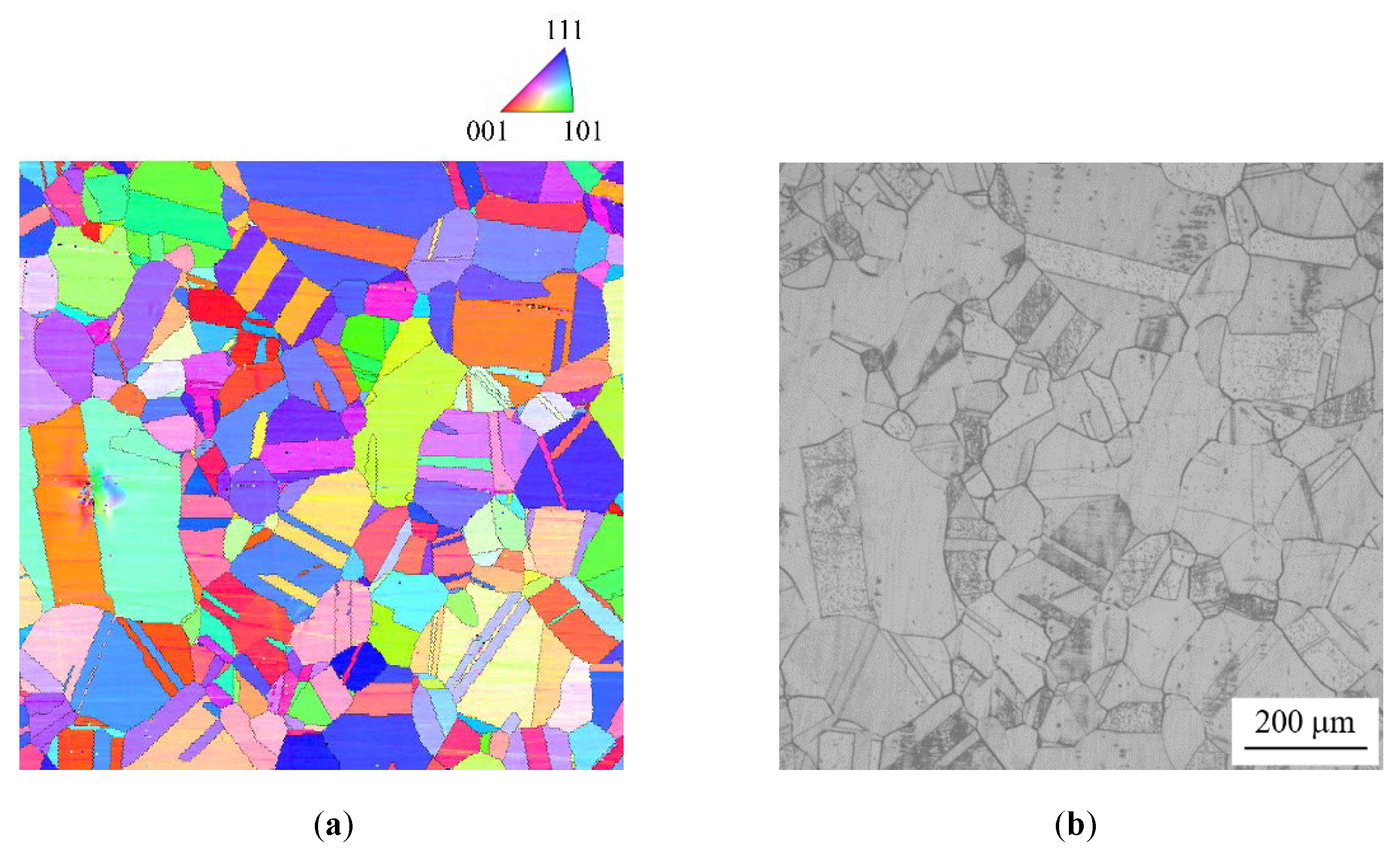 Materials 13 00613 g007