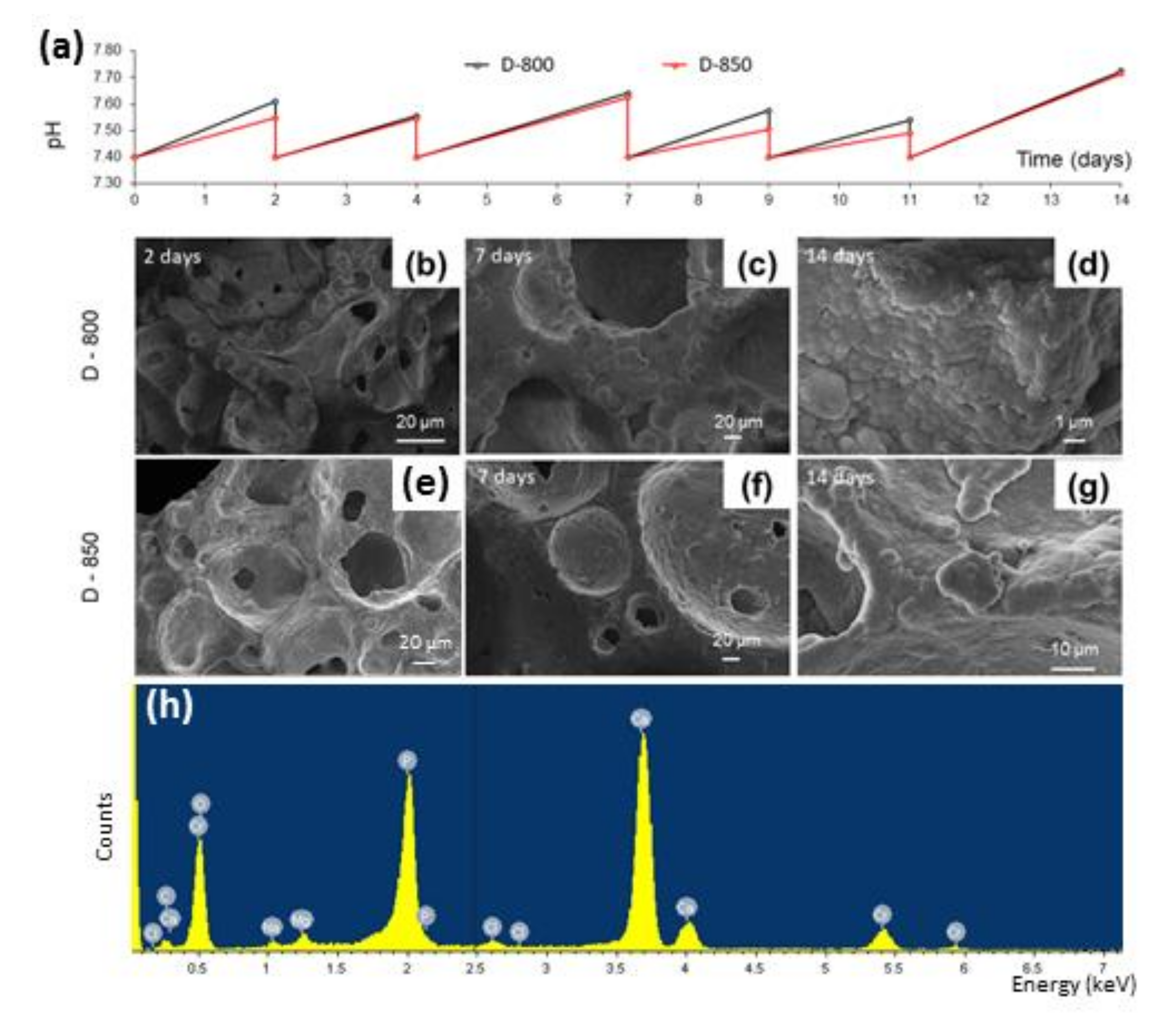 Materials 13 00628 g005