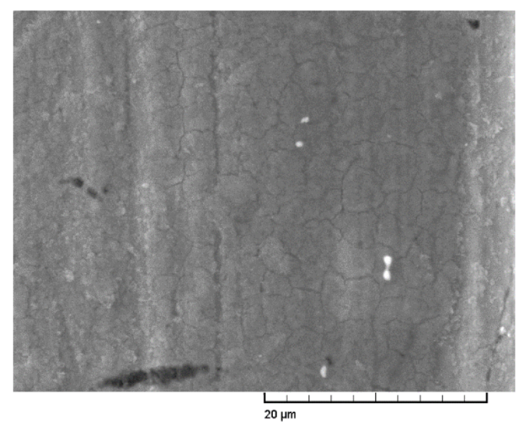 Materials 13 00635 g011