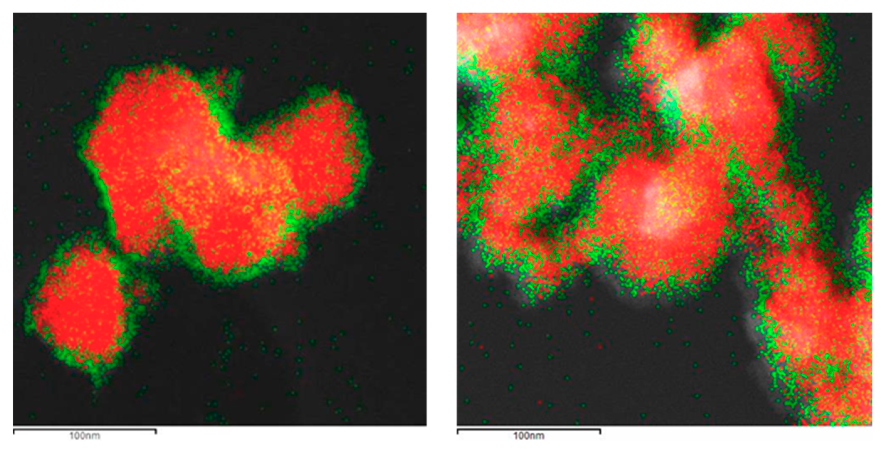 Materials 13 00649 g007