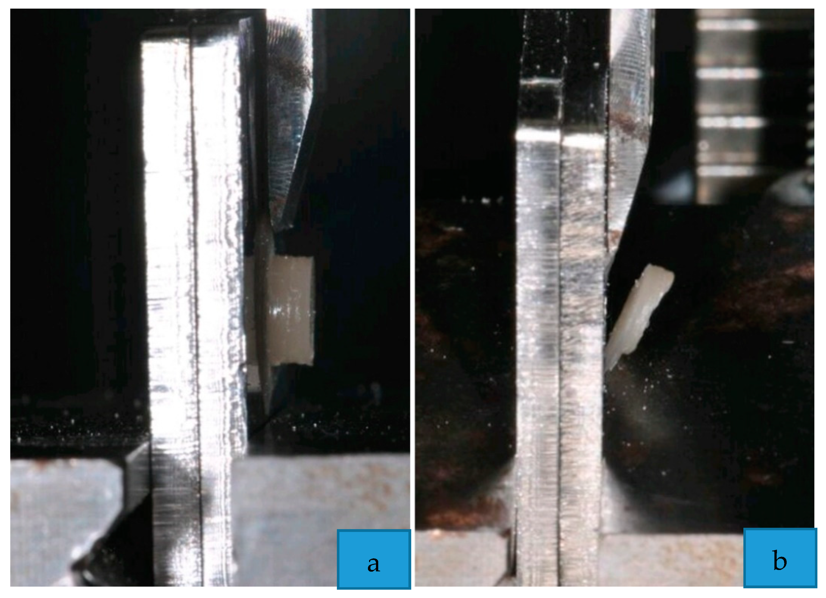 Materials 13 00652 g003 Materials 13 00652 g003