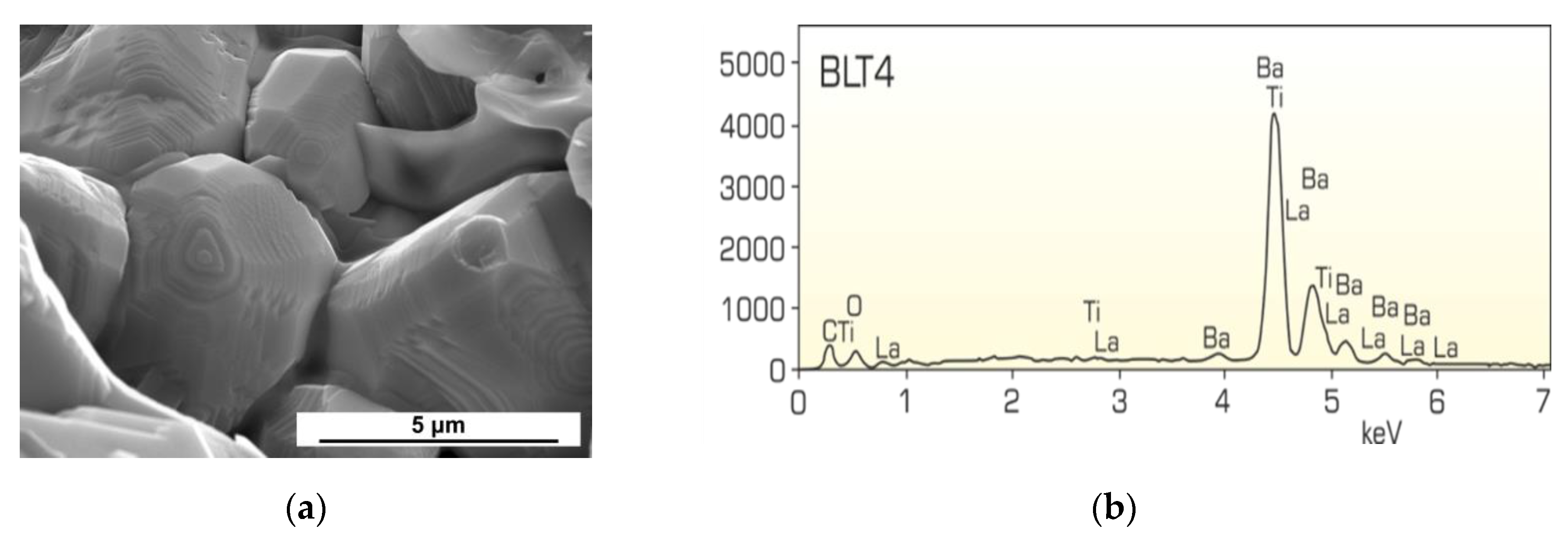 Materials 13 00659 g002
