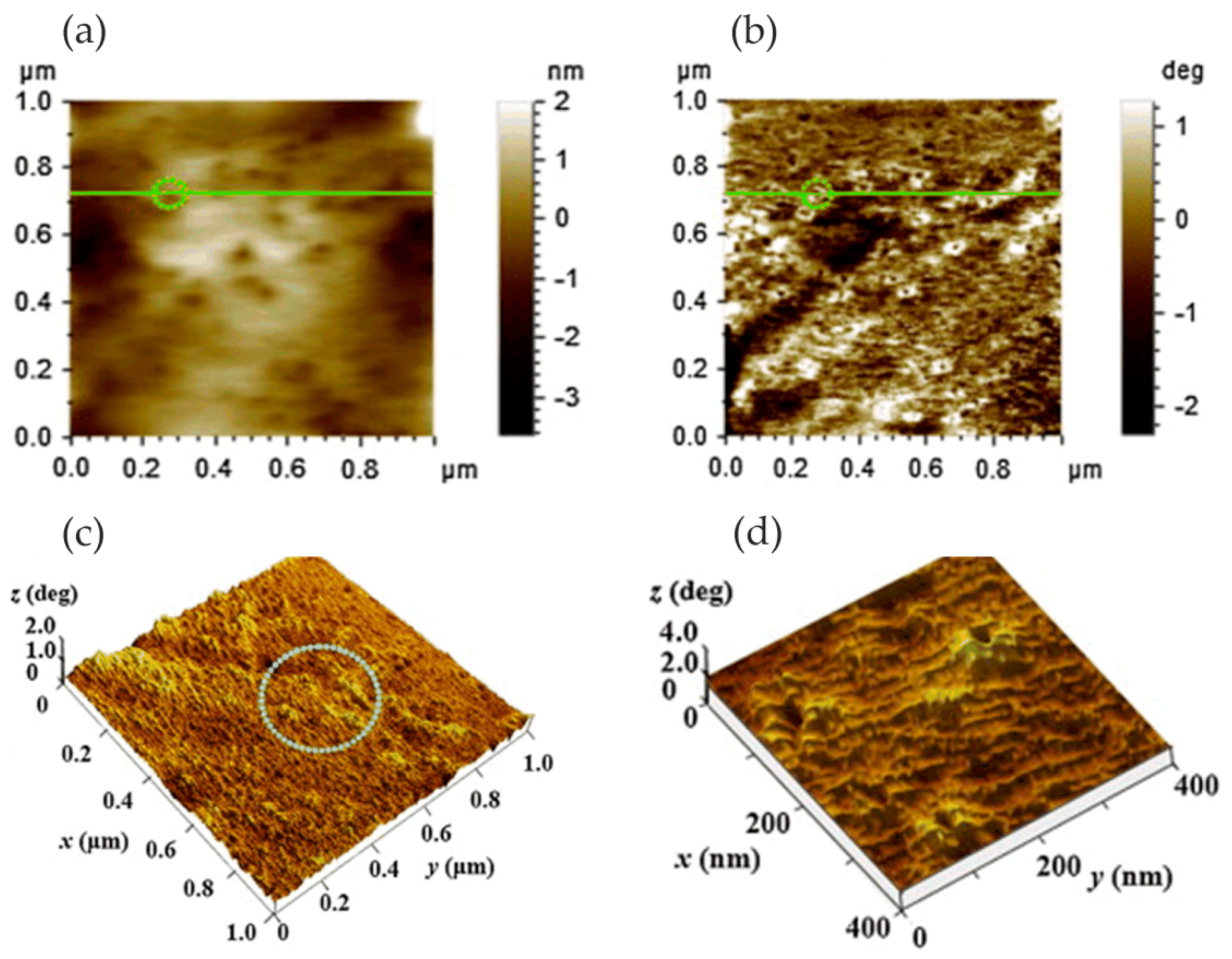 Materials 13 00668 g005
