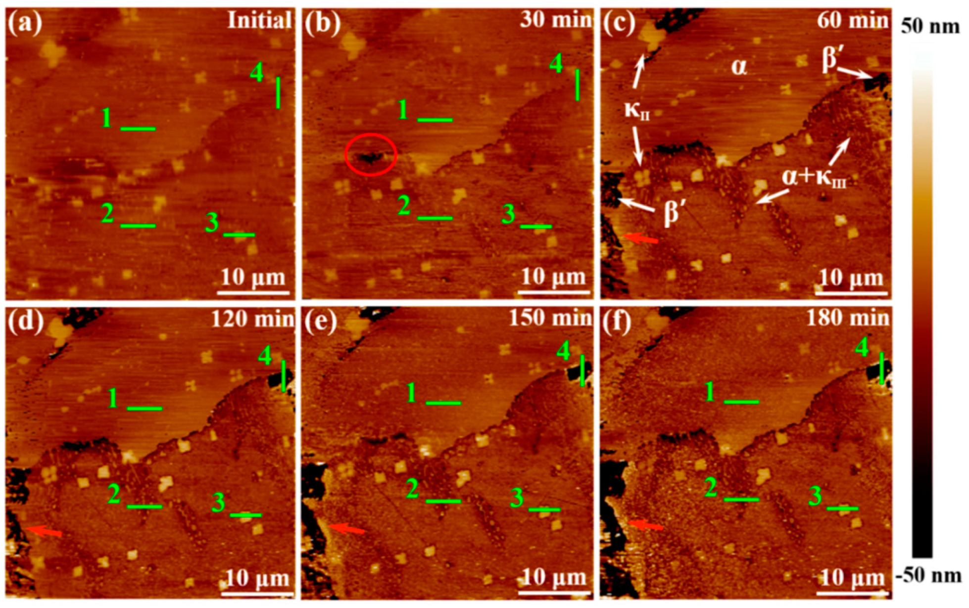 Materials 13 00668 g006