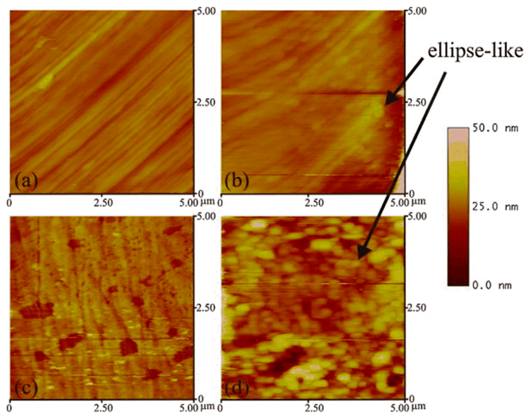 Materials 13 00668 g009