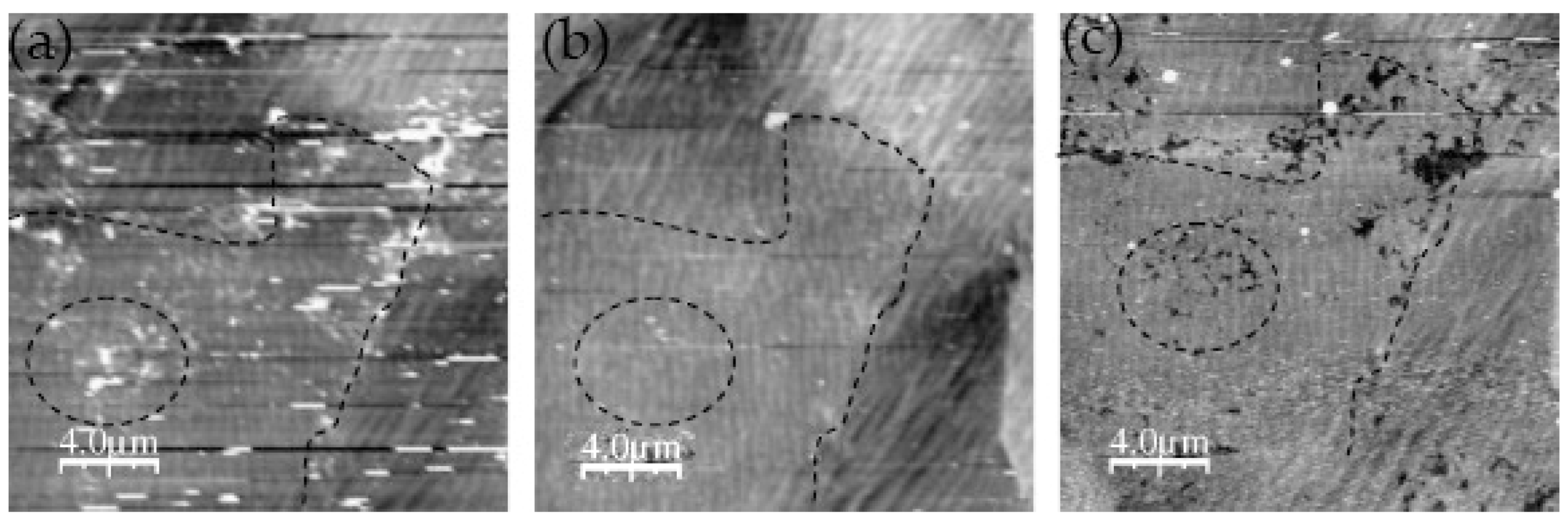 Materials 13 00668 g011