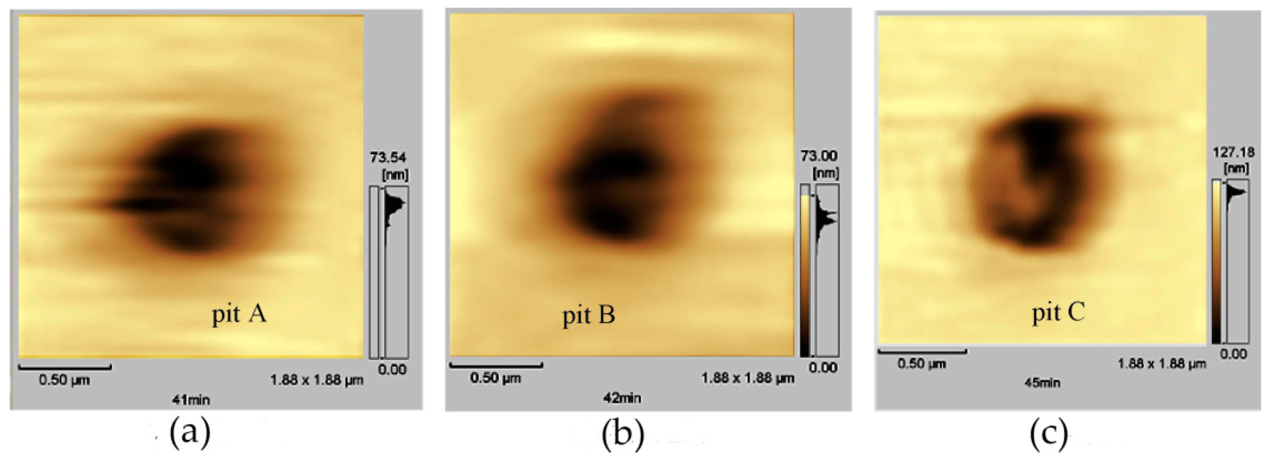 Materials 13 00668 g012