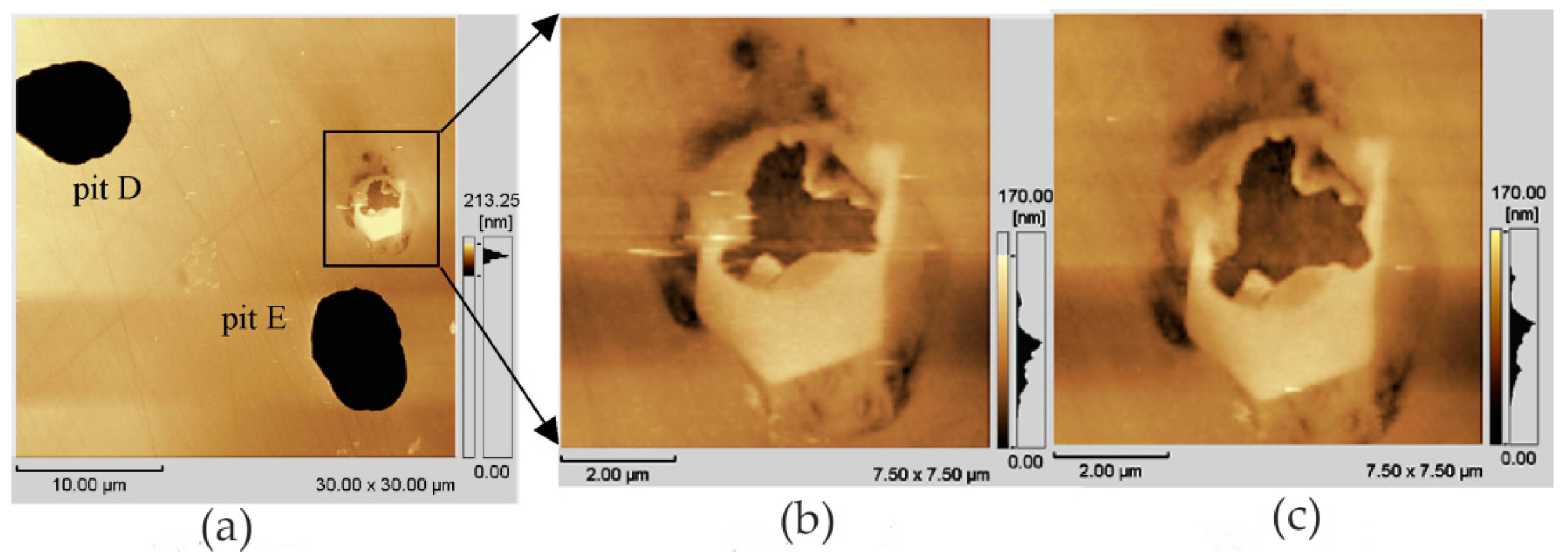 Materials 13 00668 g013