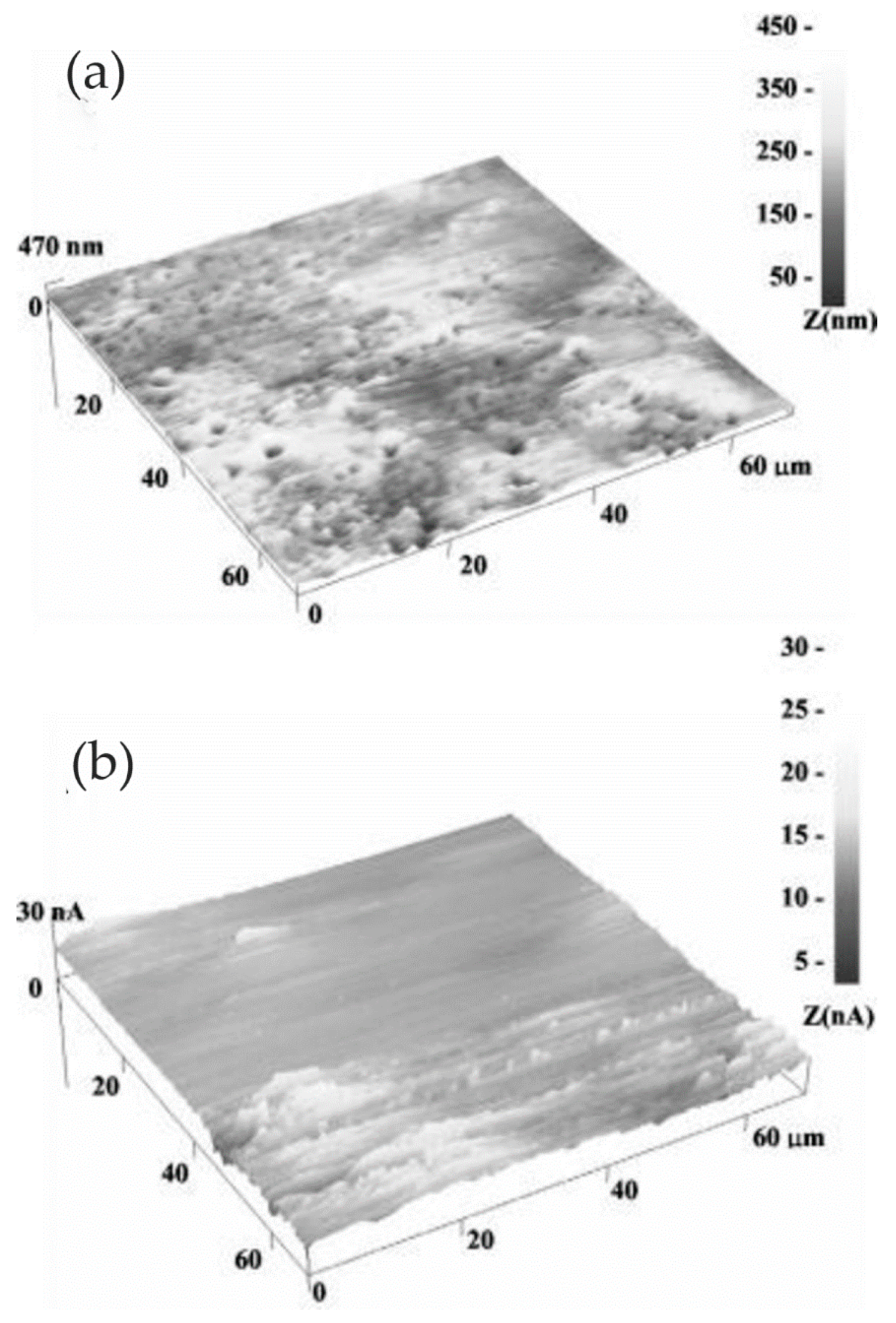 Materials 13 00668 g015