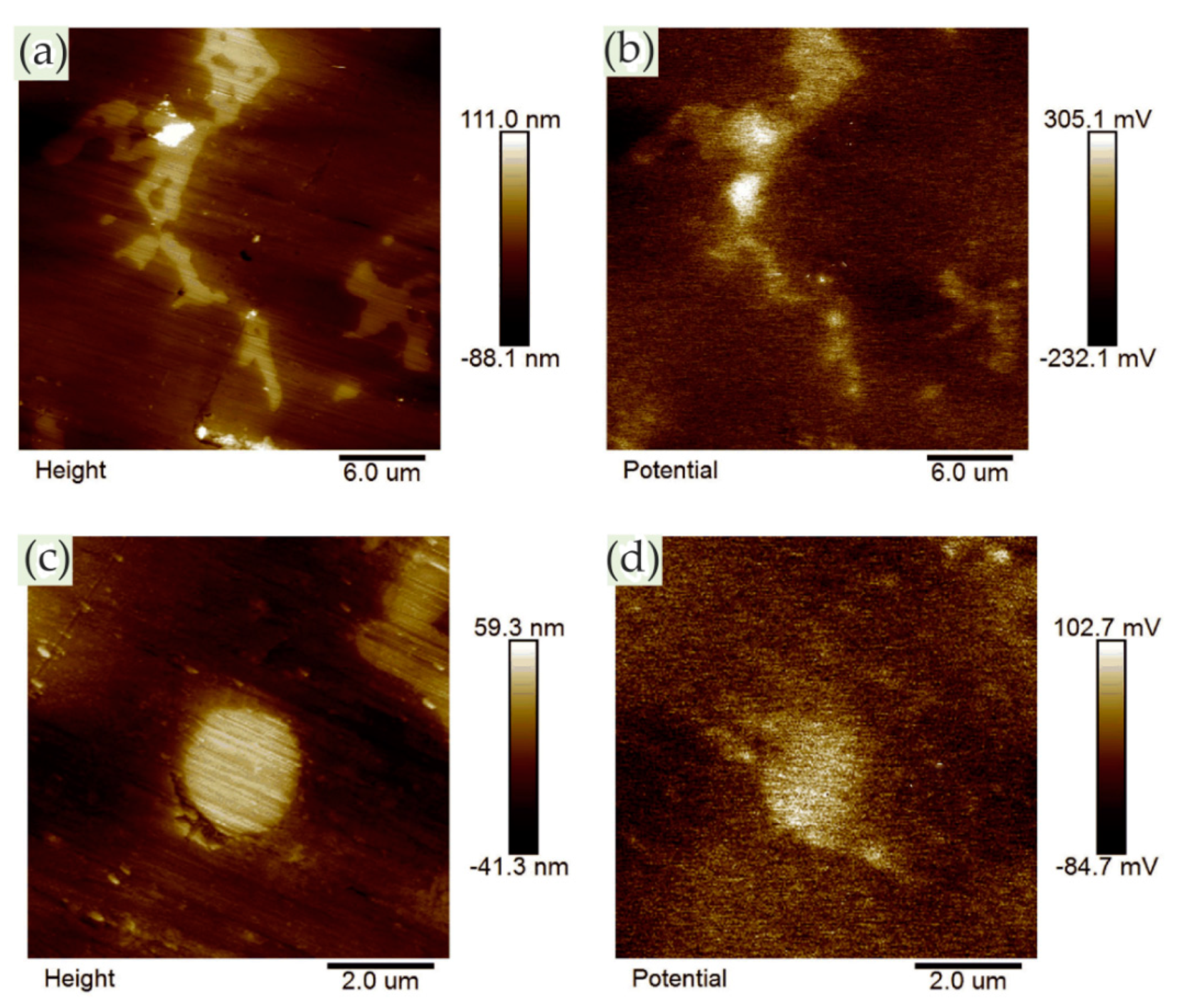Materials 13 00668 g017