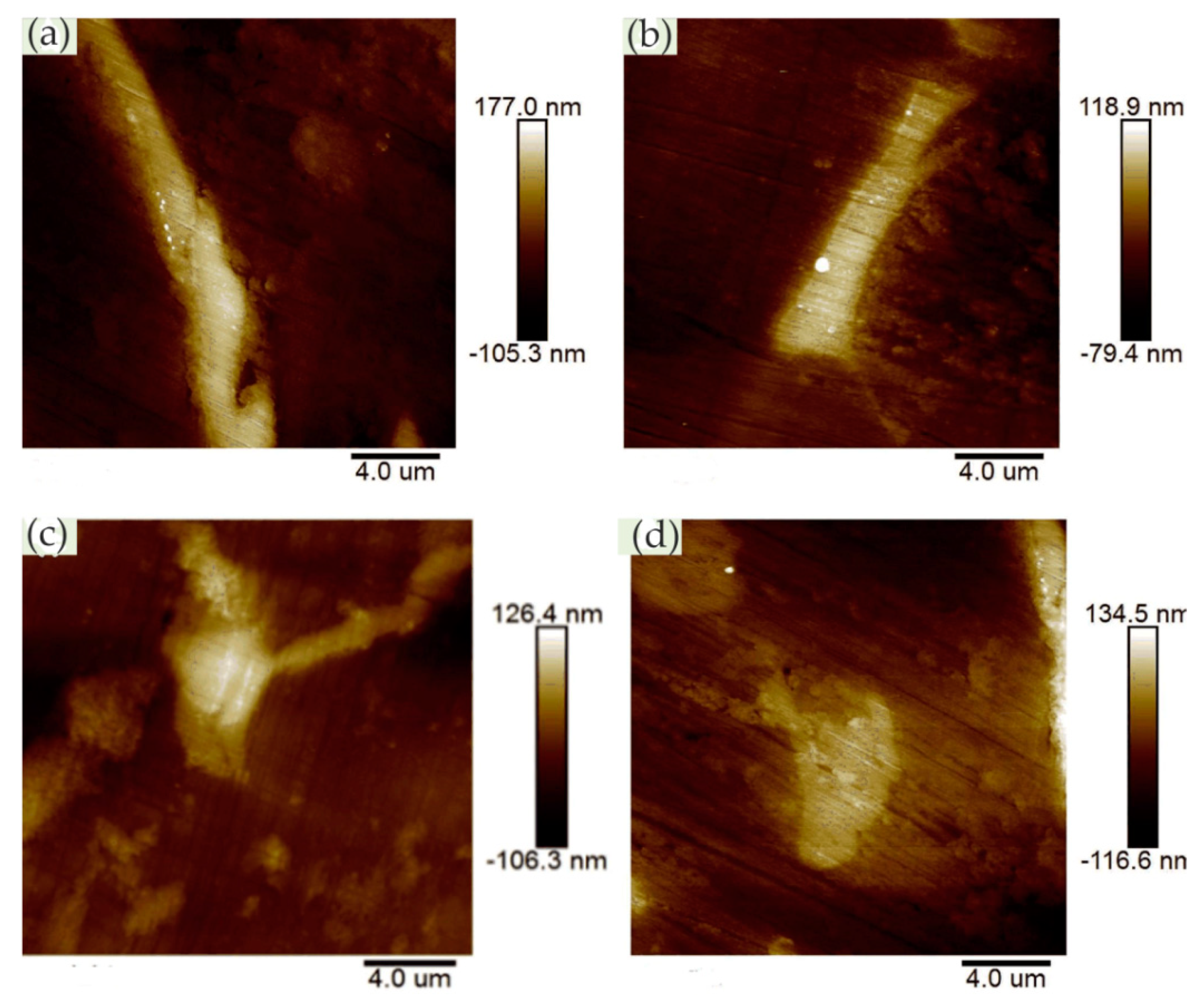 Materials 13 00668 g018