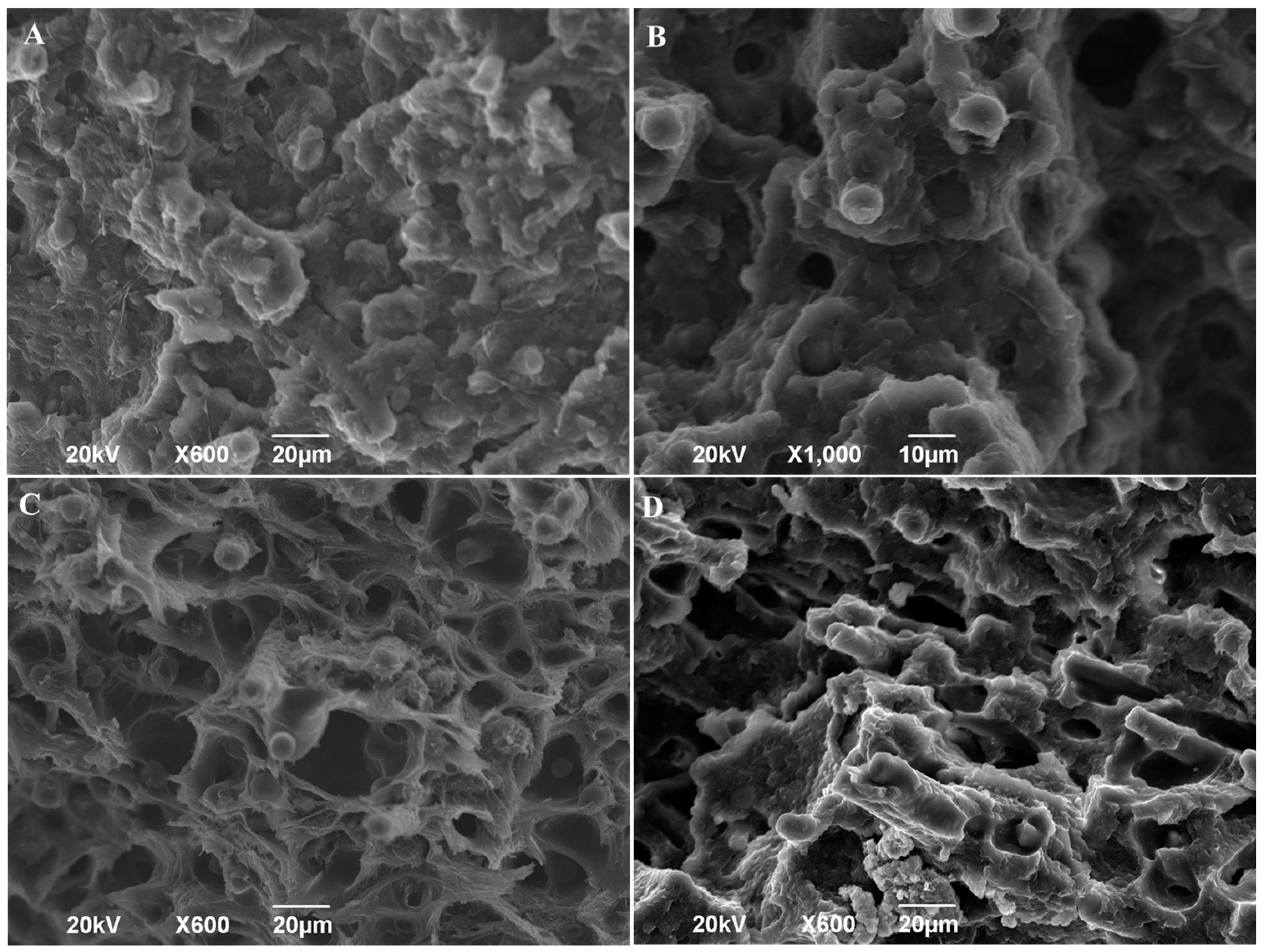 Materials 13 00672 g008