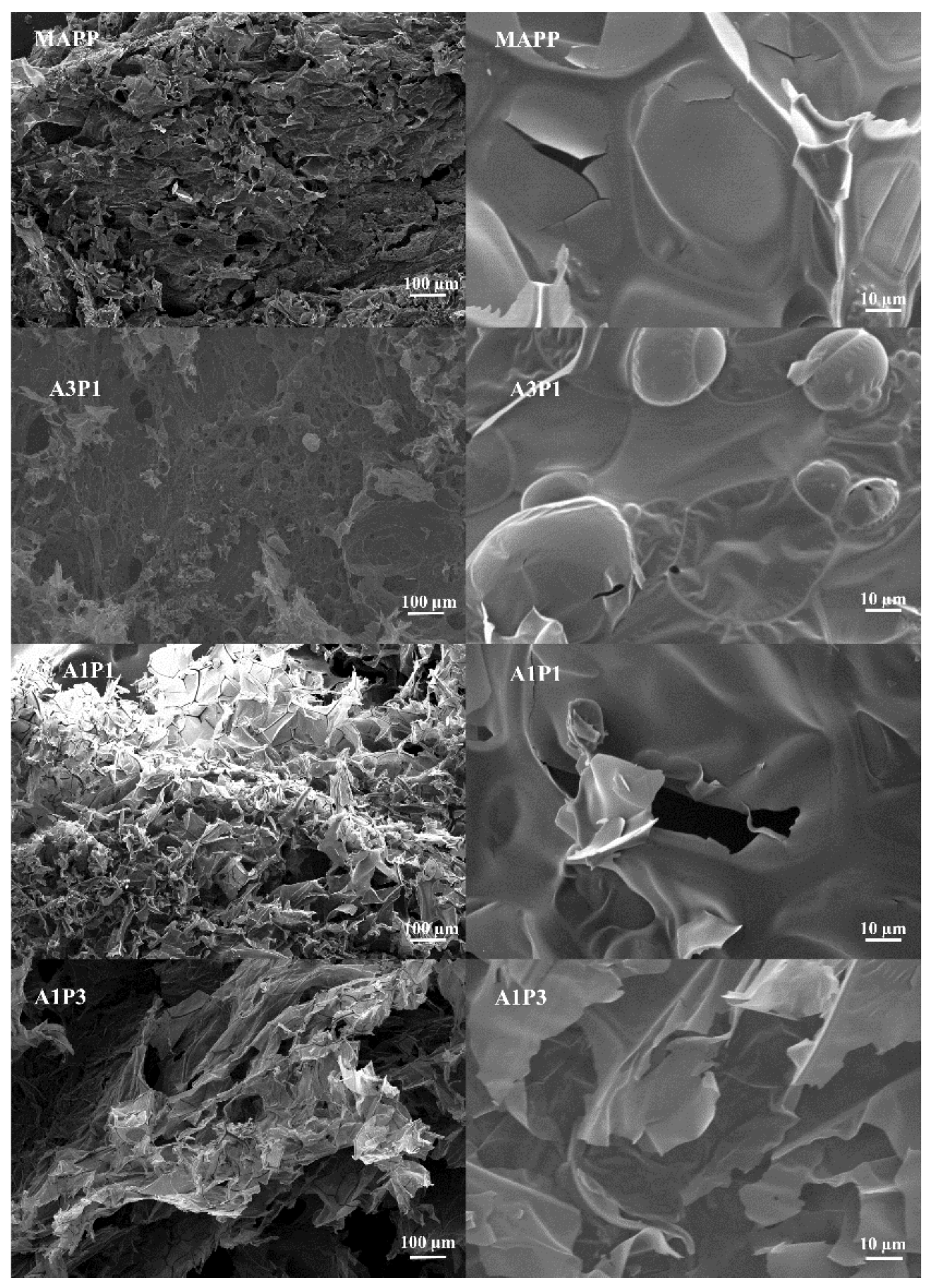 Materials 13 00676 g004 Materials 13 00676 g004