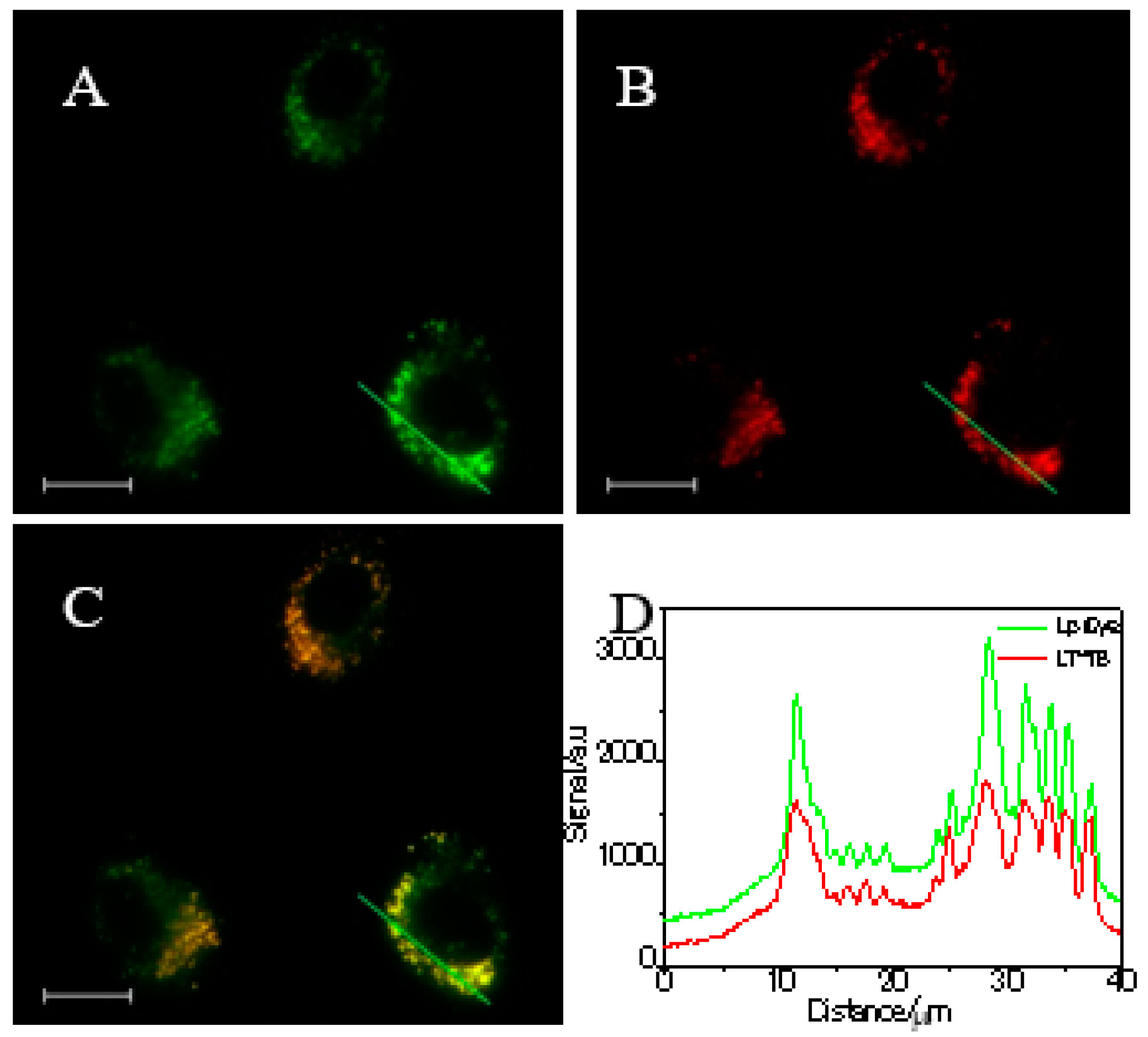Materials 13 00677 g002