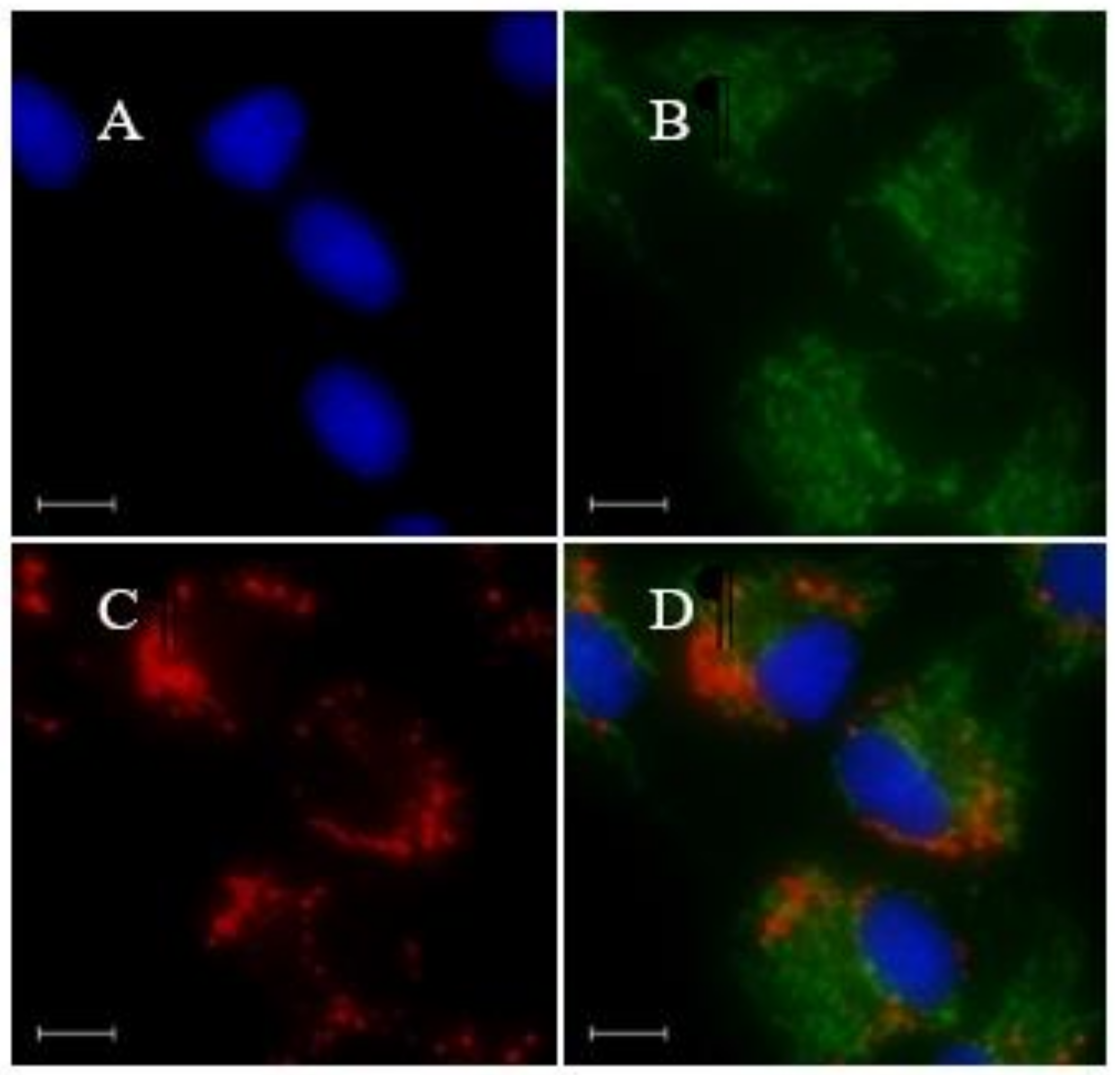 Materials 13 00677 g005