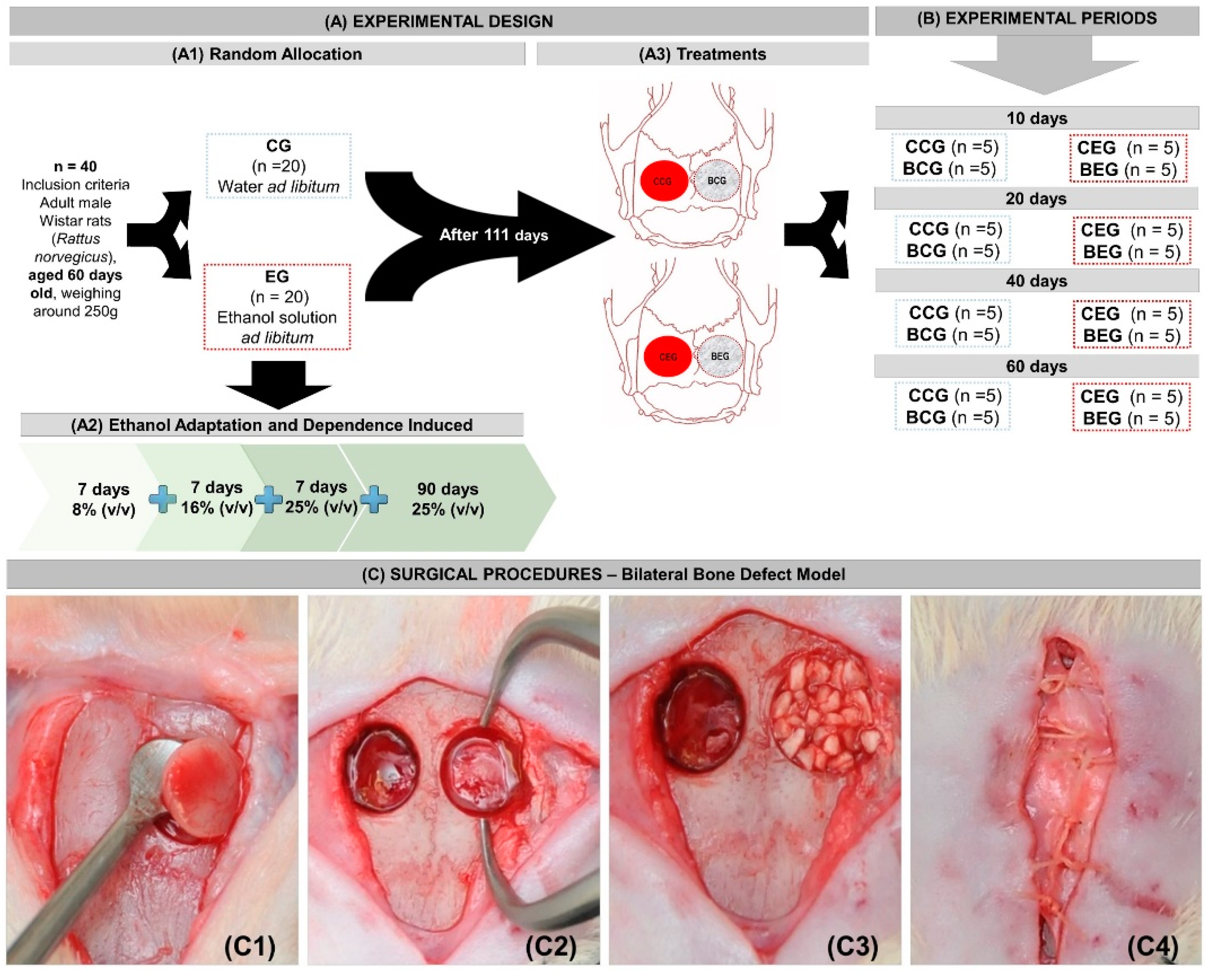Materials 13 00695 g001 Materials 13 00695 g001