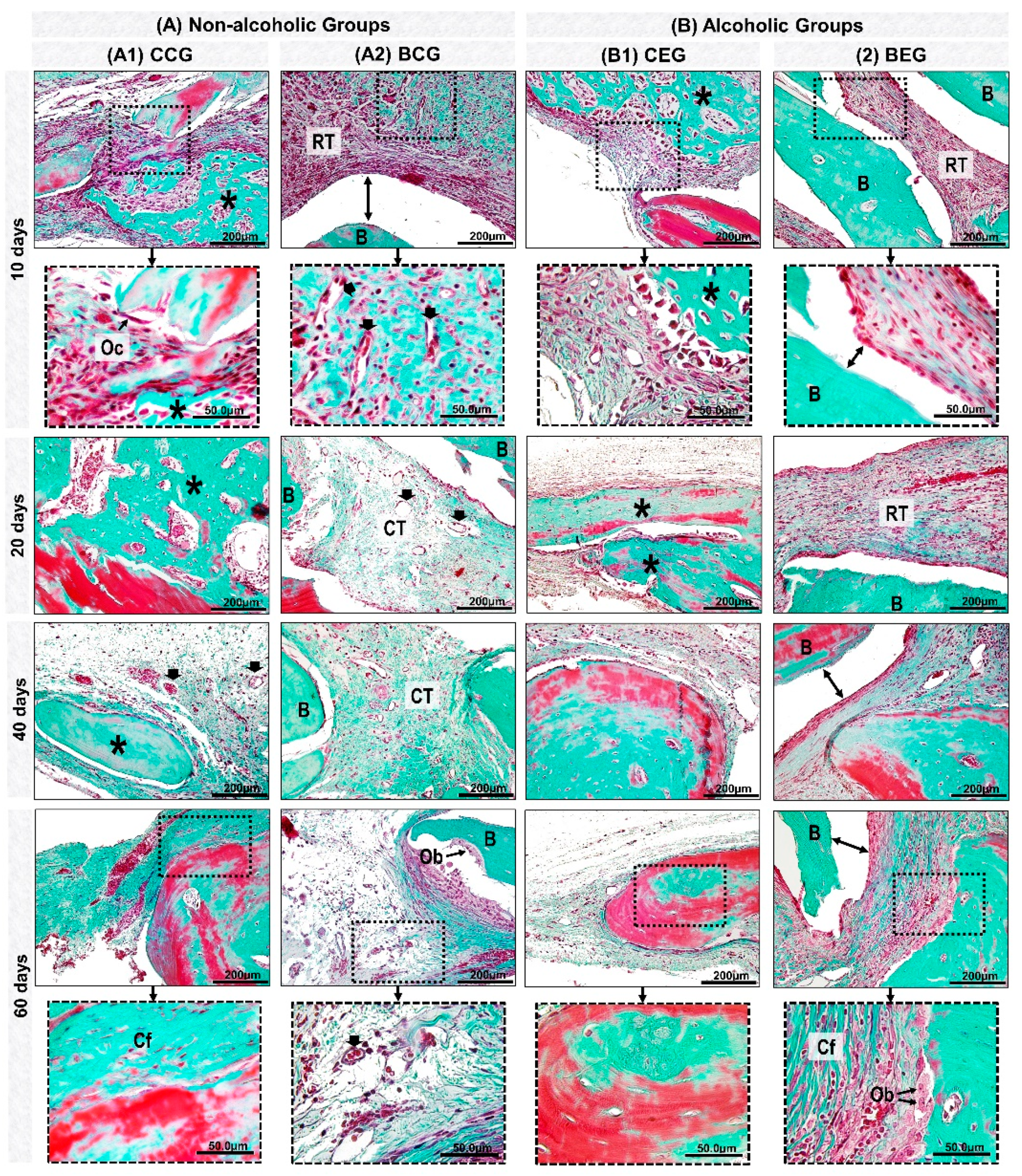 Materials 13 00695 g004 Materials 13 00695 g004