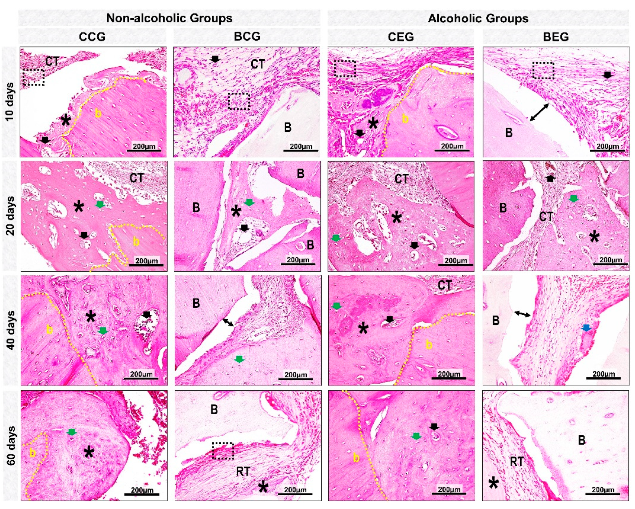Materials 13 00695 g005 Materials 13 00695 g005