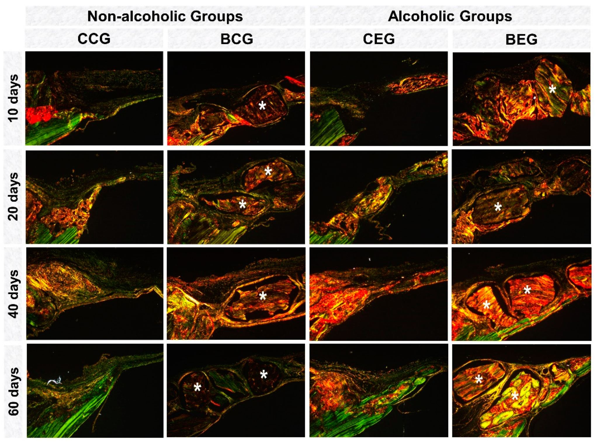 Materials 13 00695 g006 Materials 13 00695 g006