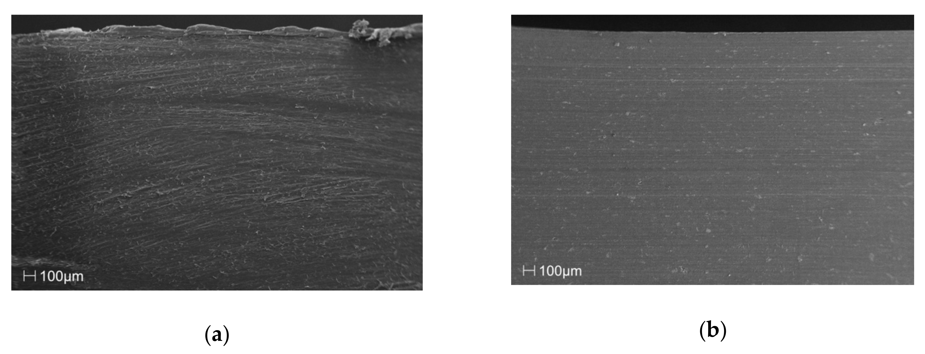 Materials 13 00698 g002a