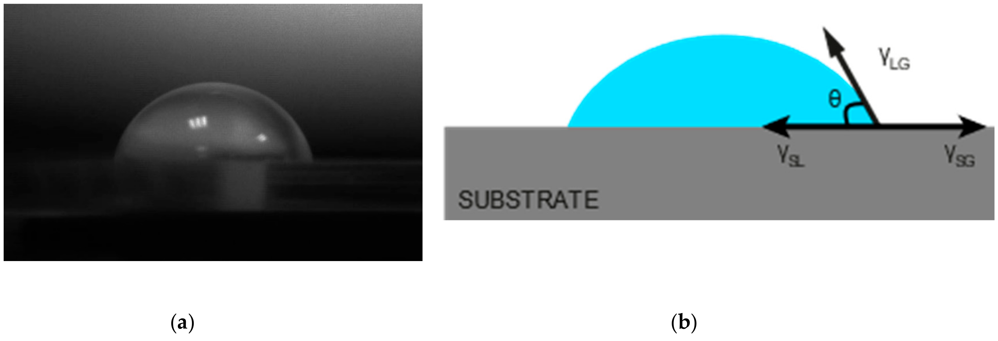 Materials 13 00704 g002