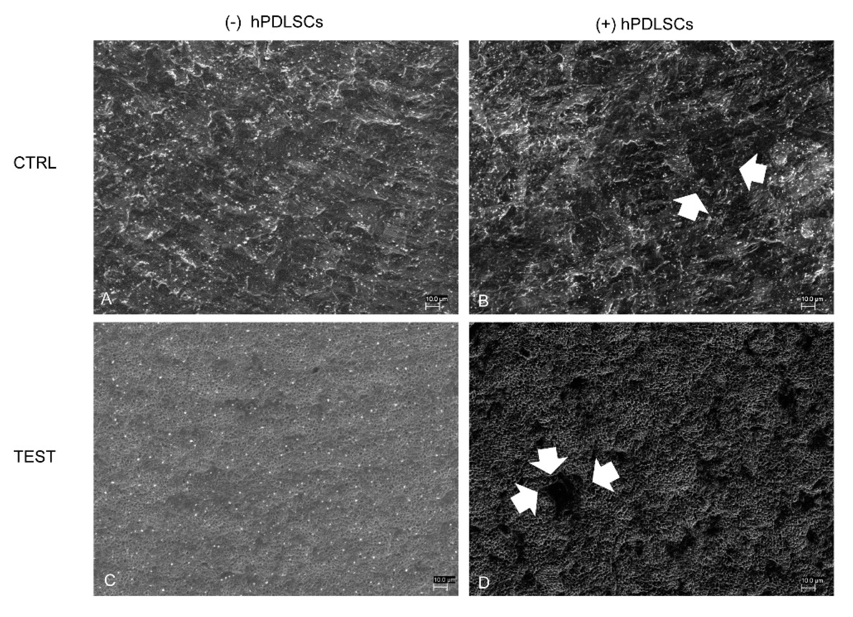 Materials 13 00706 g002 Materials 13 00706 g002