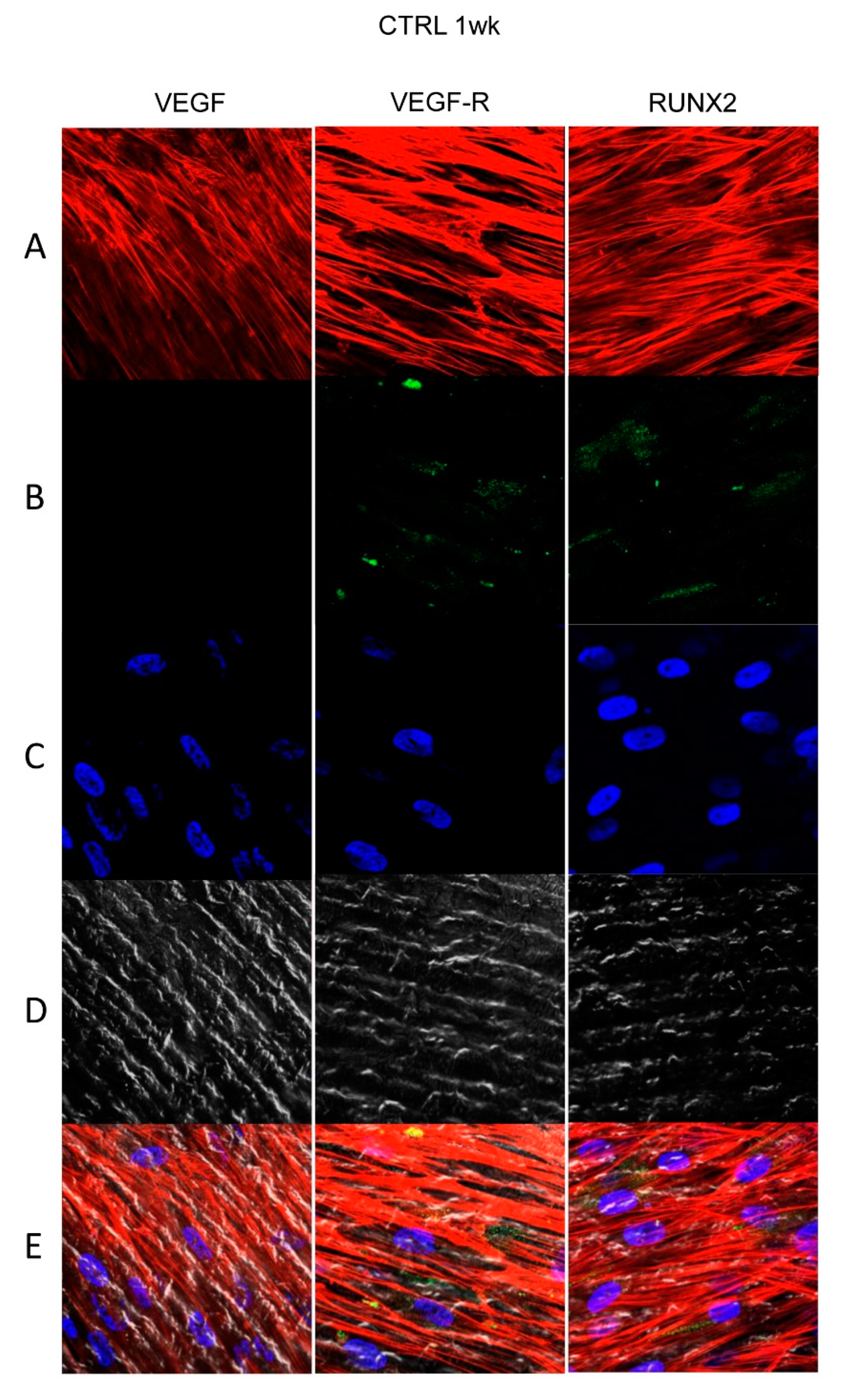 Materials 13 00706 g004 Materials 13 00706 g004