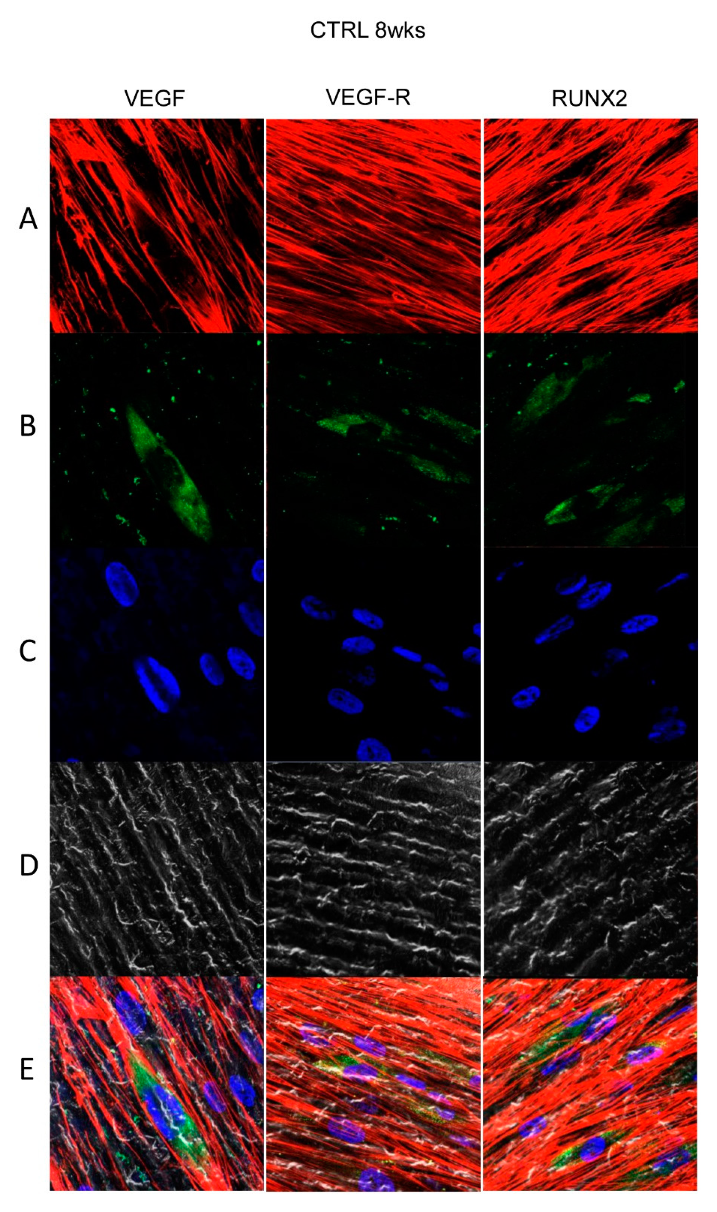 Materials 13 00706 g005 Materials 13 00706 g005