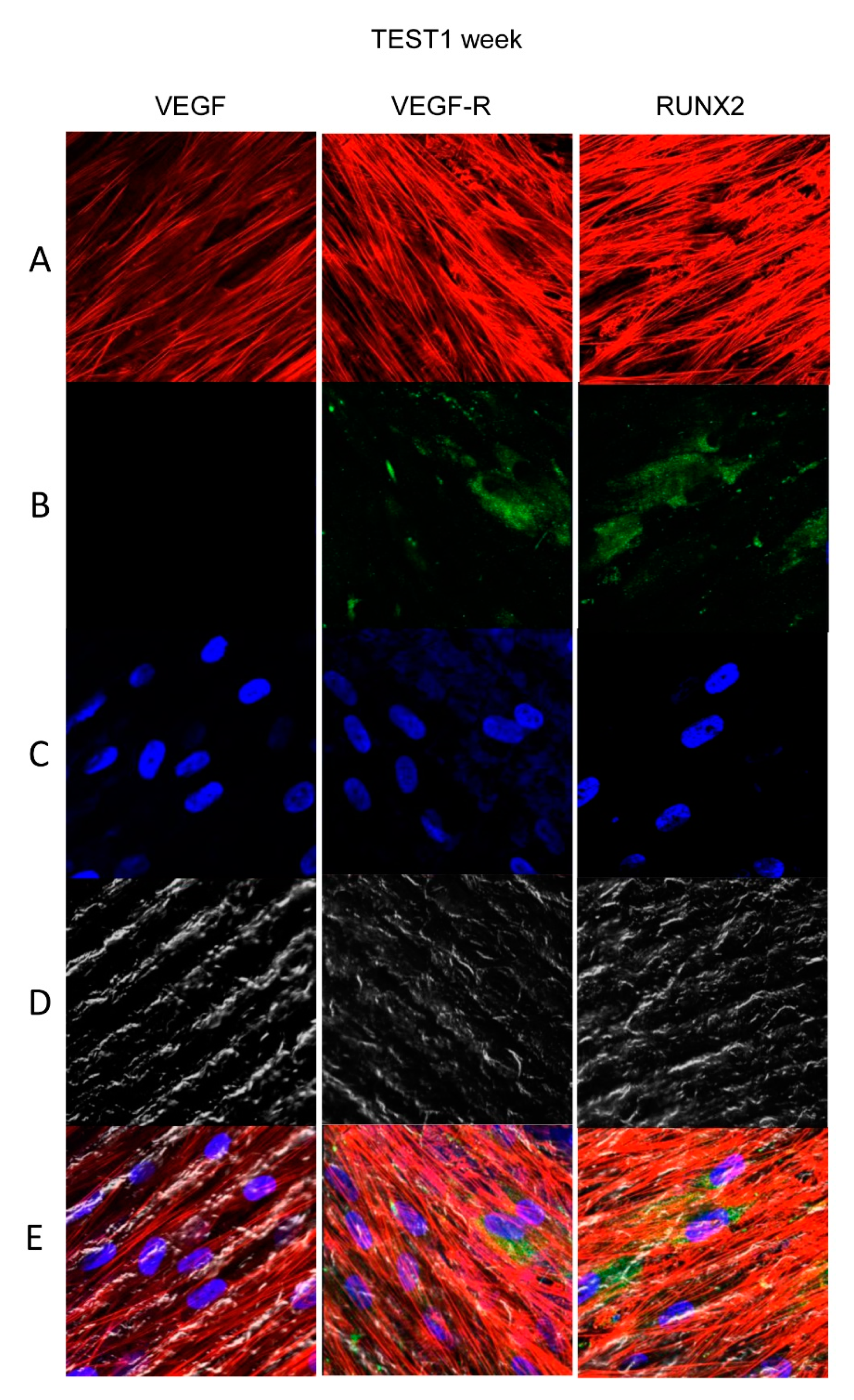 Materials 13 00706 g006 Materials 13 00706 g006