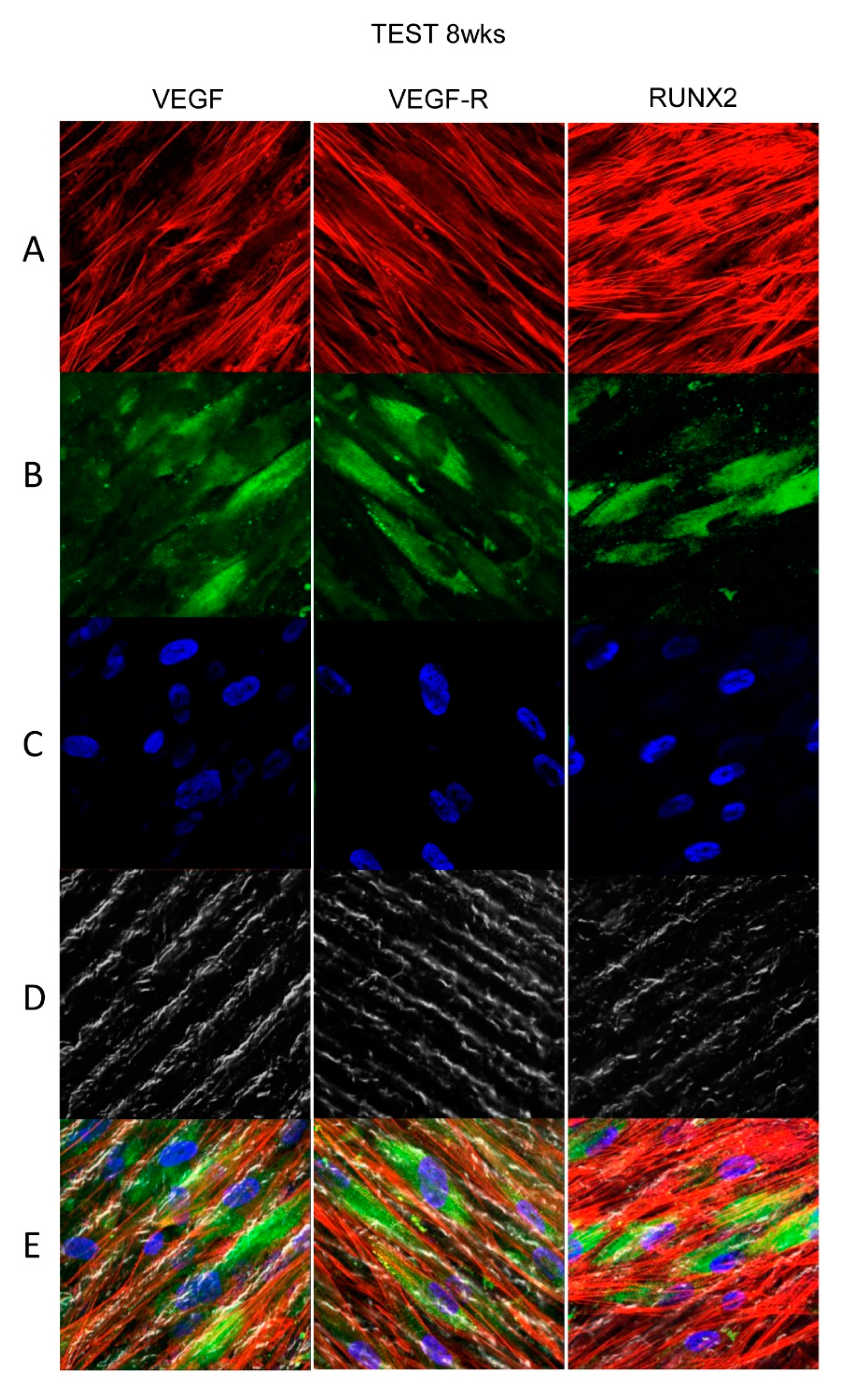 Materials 13 00706 g007 Materials 13 00706 g007
